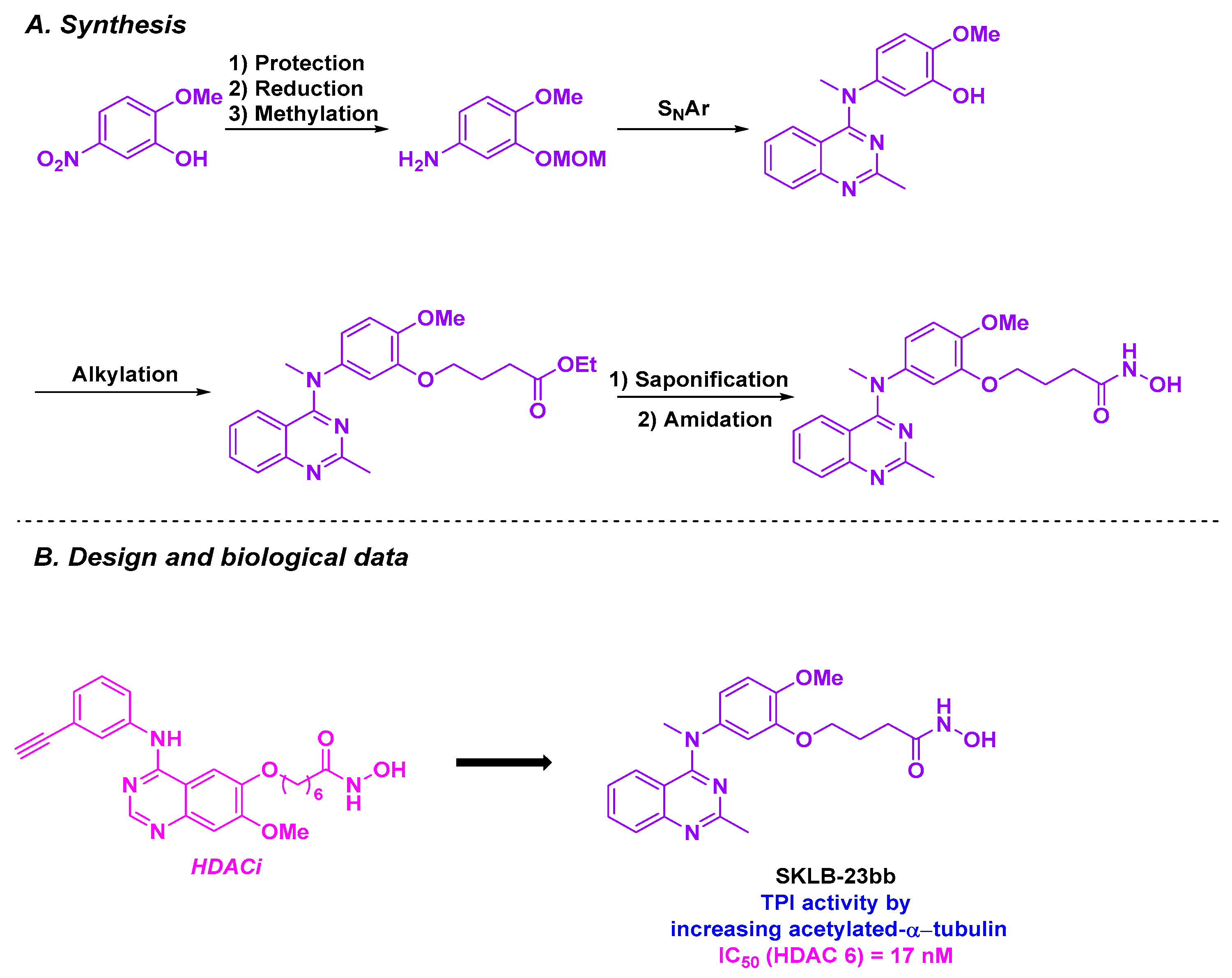 Pharmaceuticals 18 00341 sch030