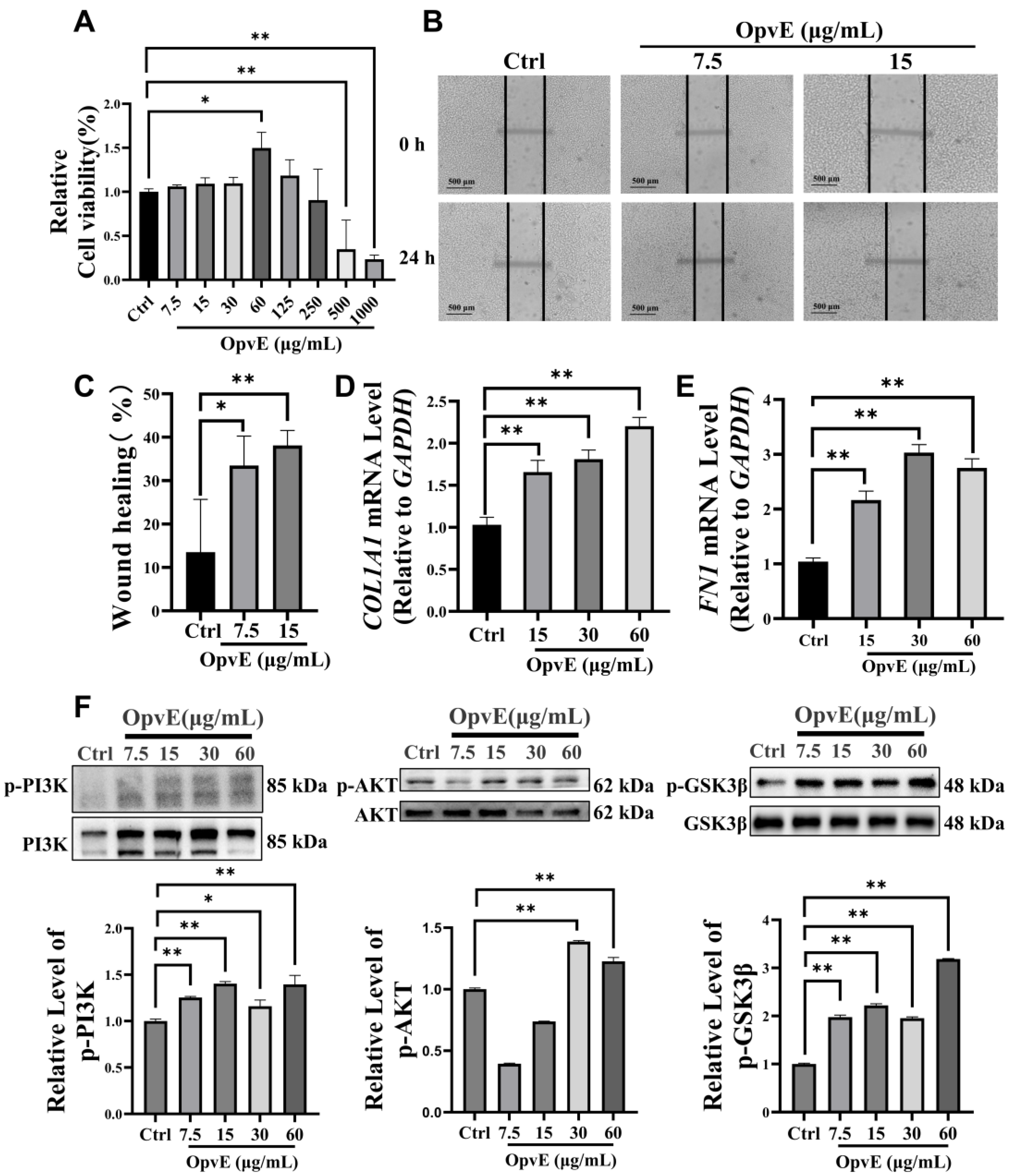 Pharmaceuticals 18 00345 g003