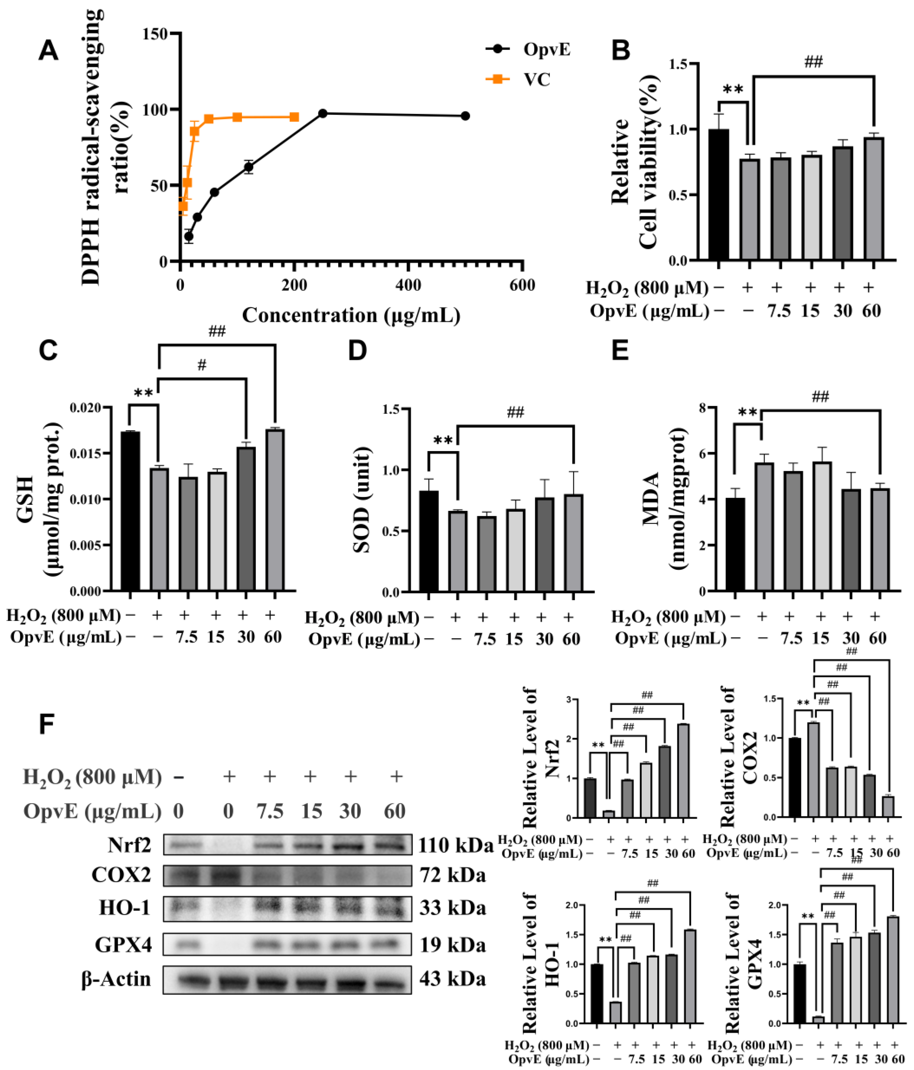 Pharmaceuticals 18 00345 g004