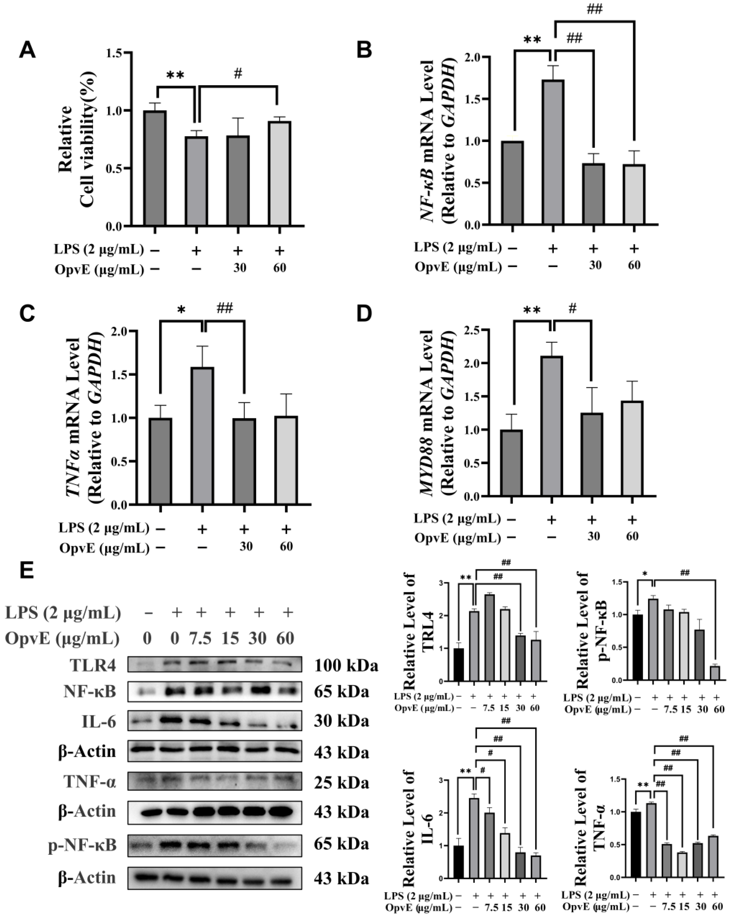 Pharmaceuticals 18 00345 g005