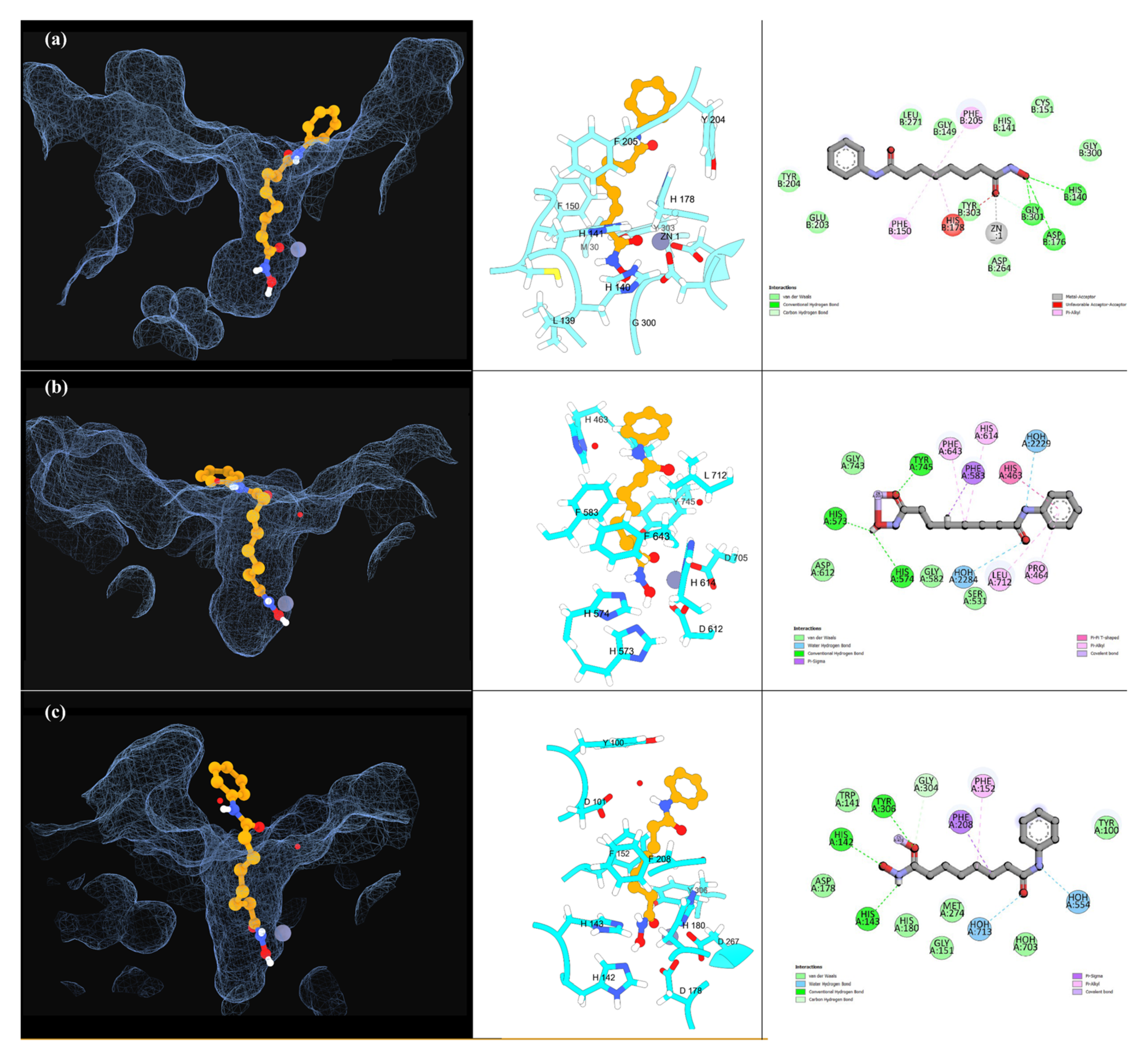 Pharmaceuticals 18 00351 g004