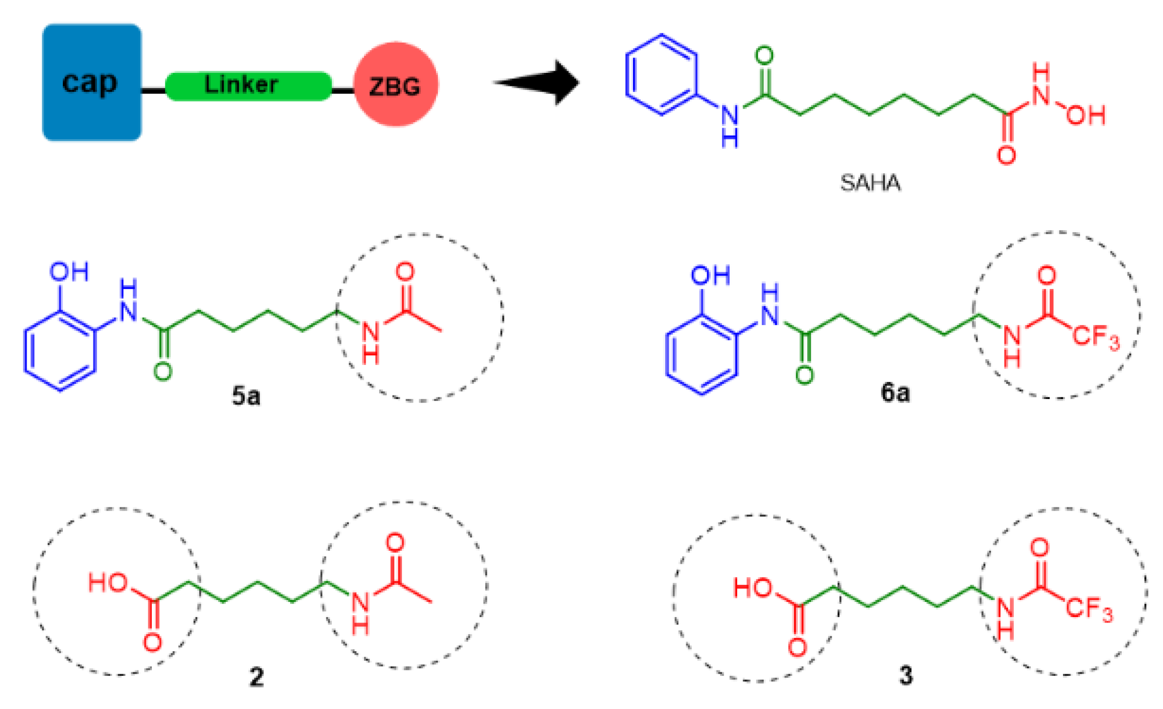 Pharmaceuticals 18 00351 g009