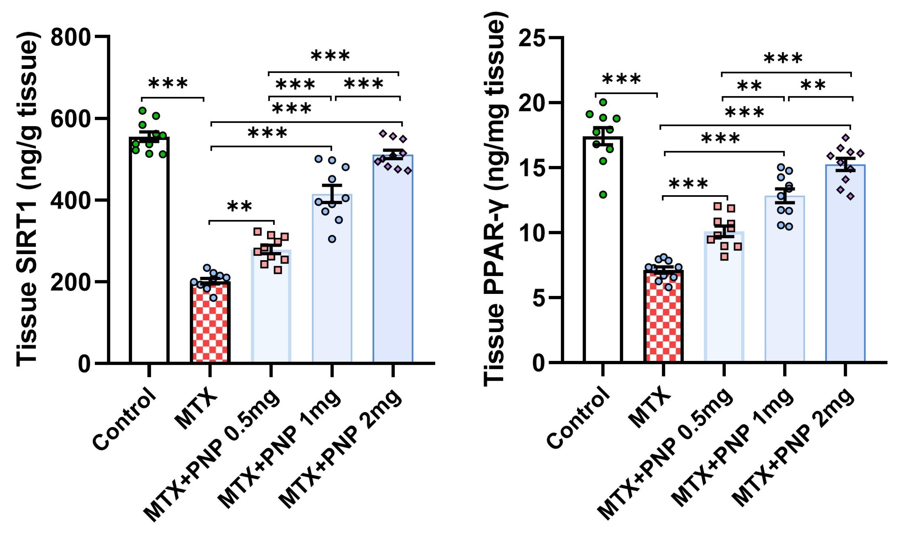 Pharmaceuticals 18 00358 g004