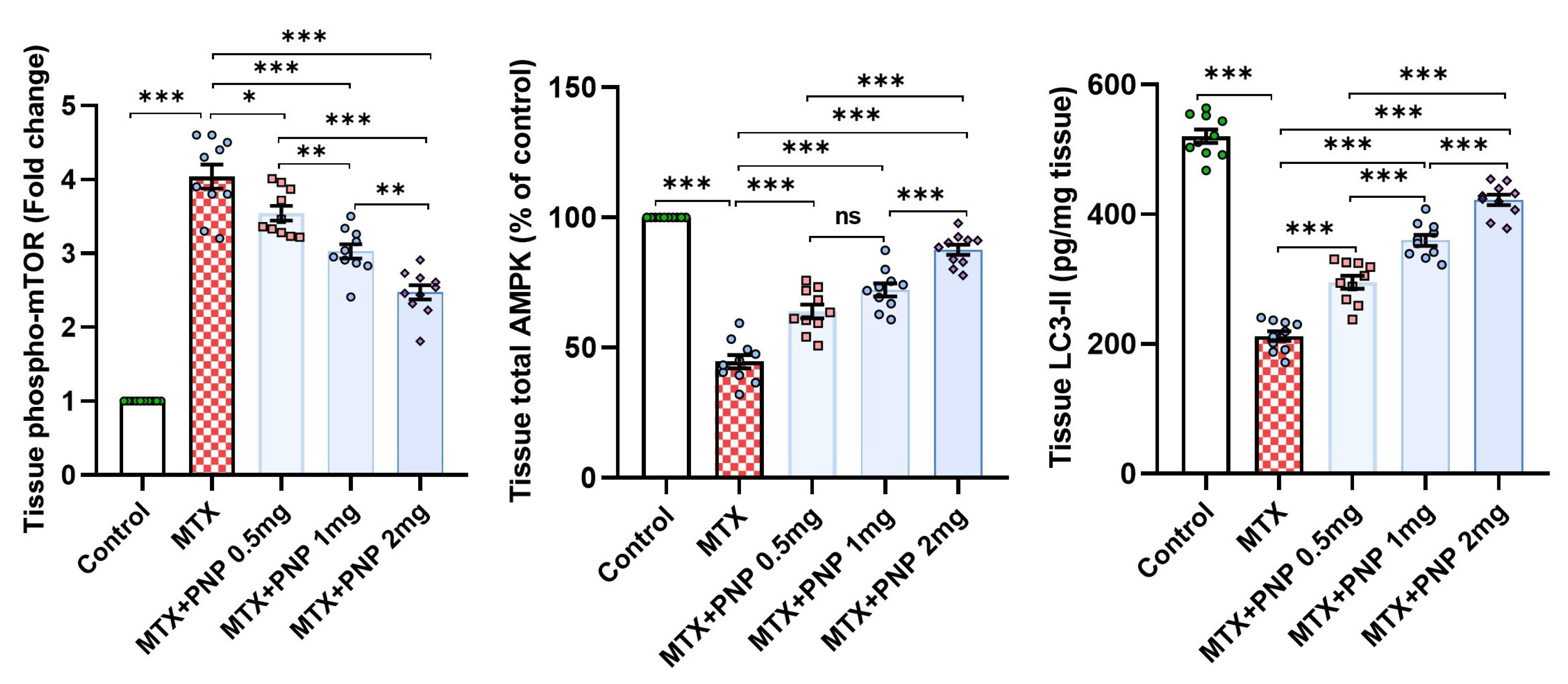 Pharmaceuticals 18 00358 g008