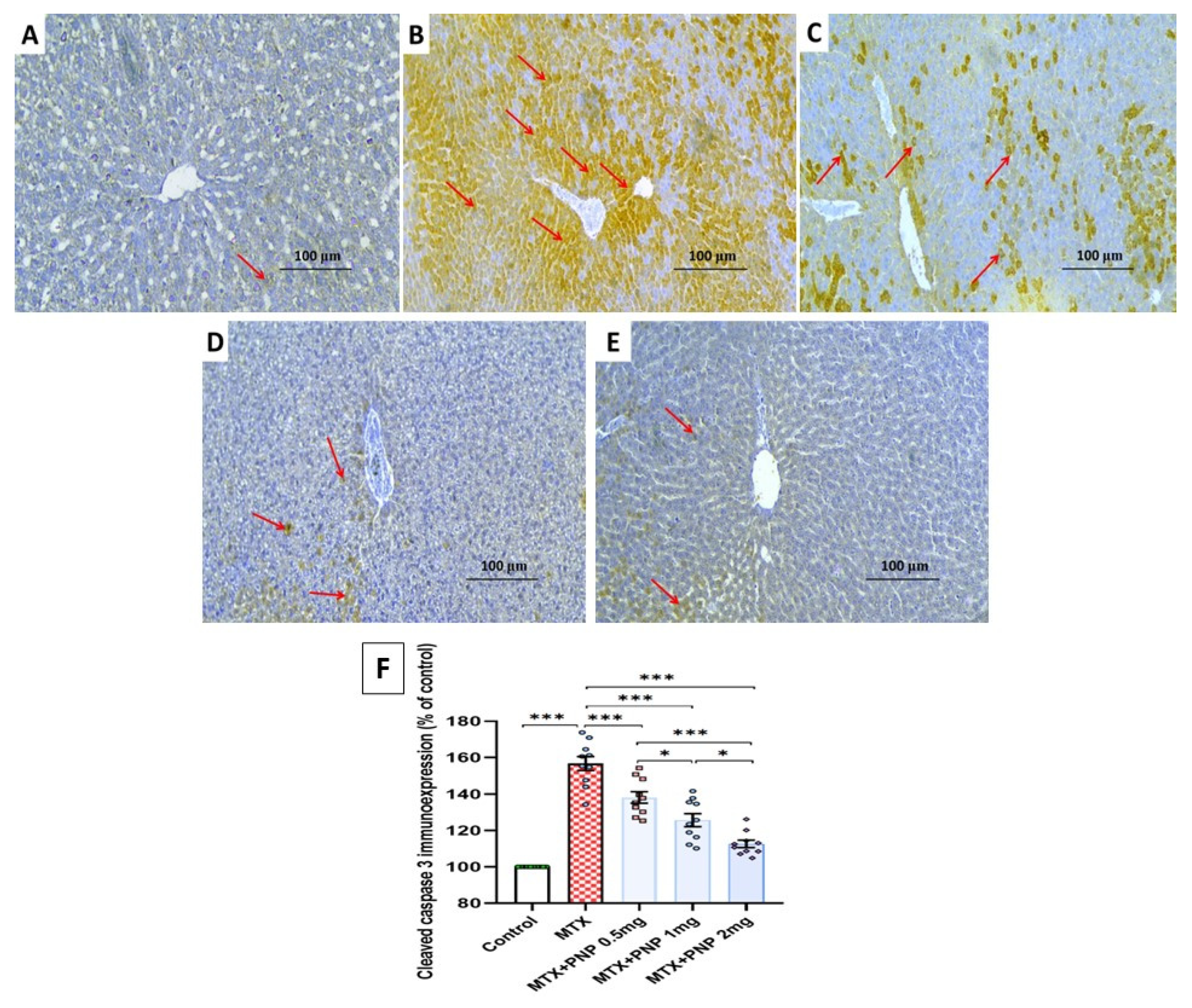Pharmaceuticals 18 00358 g011