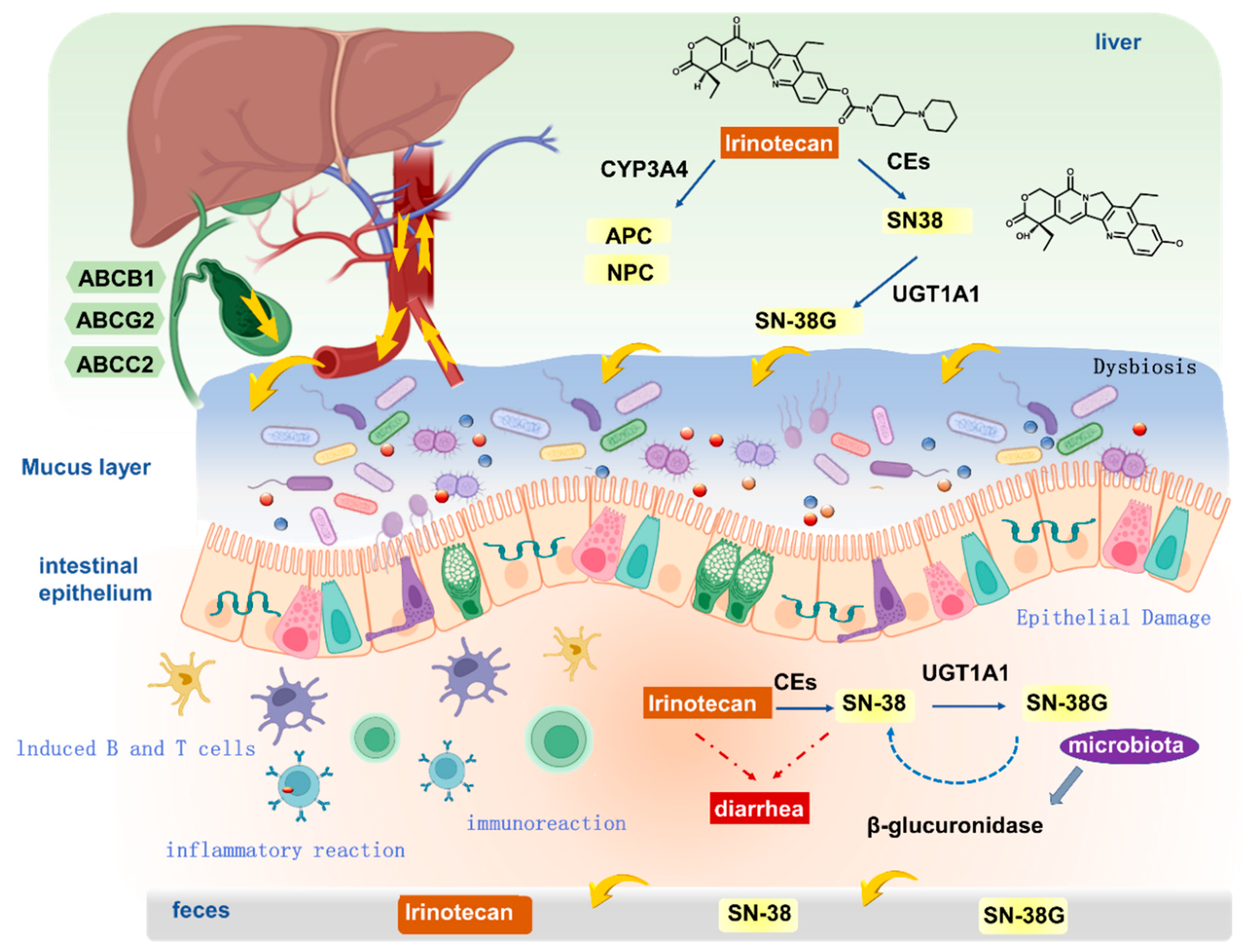 Pharmaceuticals 18 00359 g002