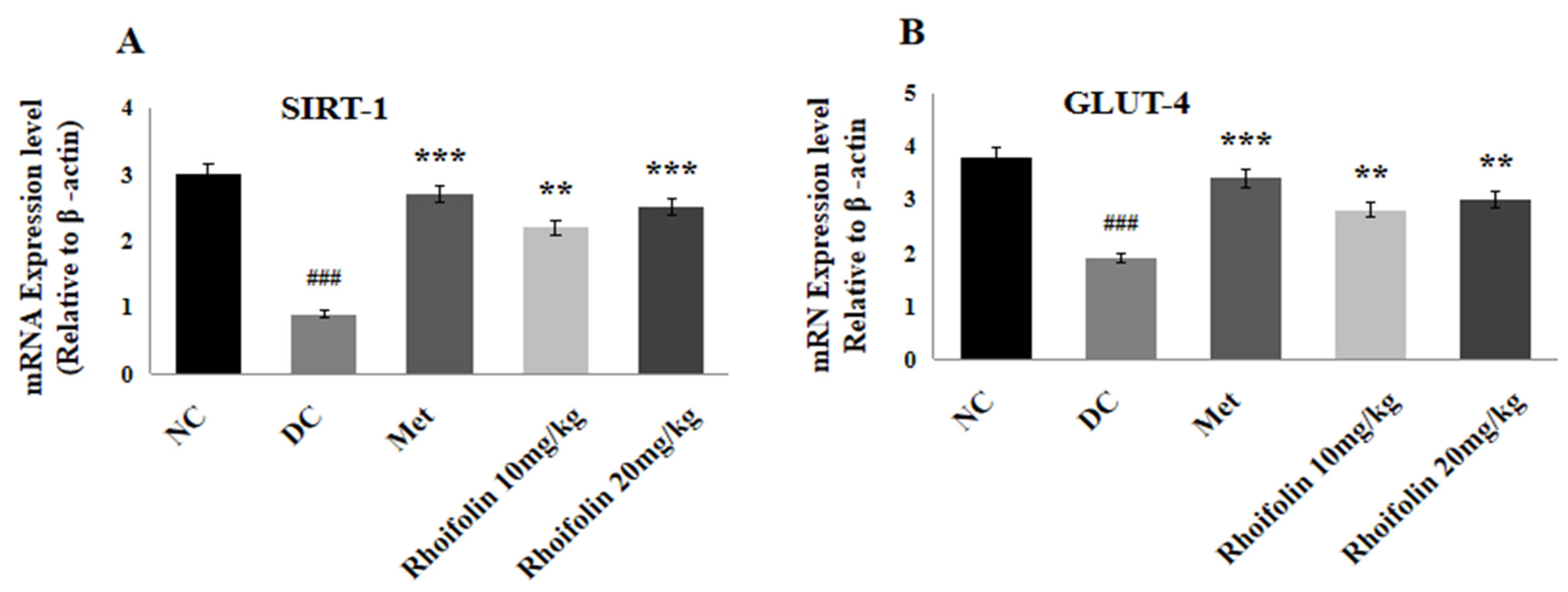 Pharmaceuticals 18 00361 g006