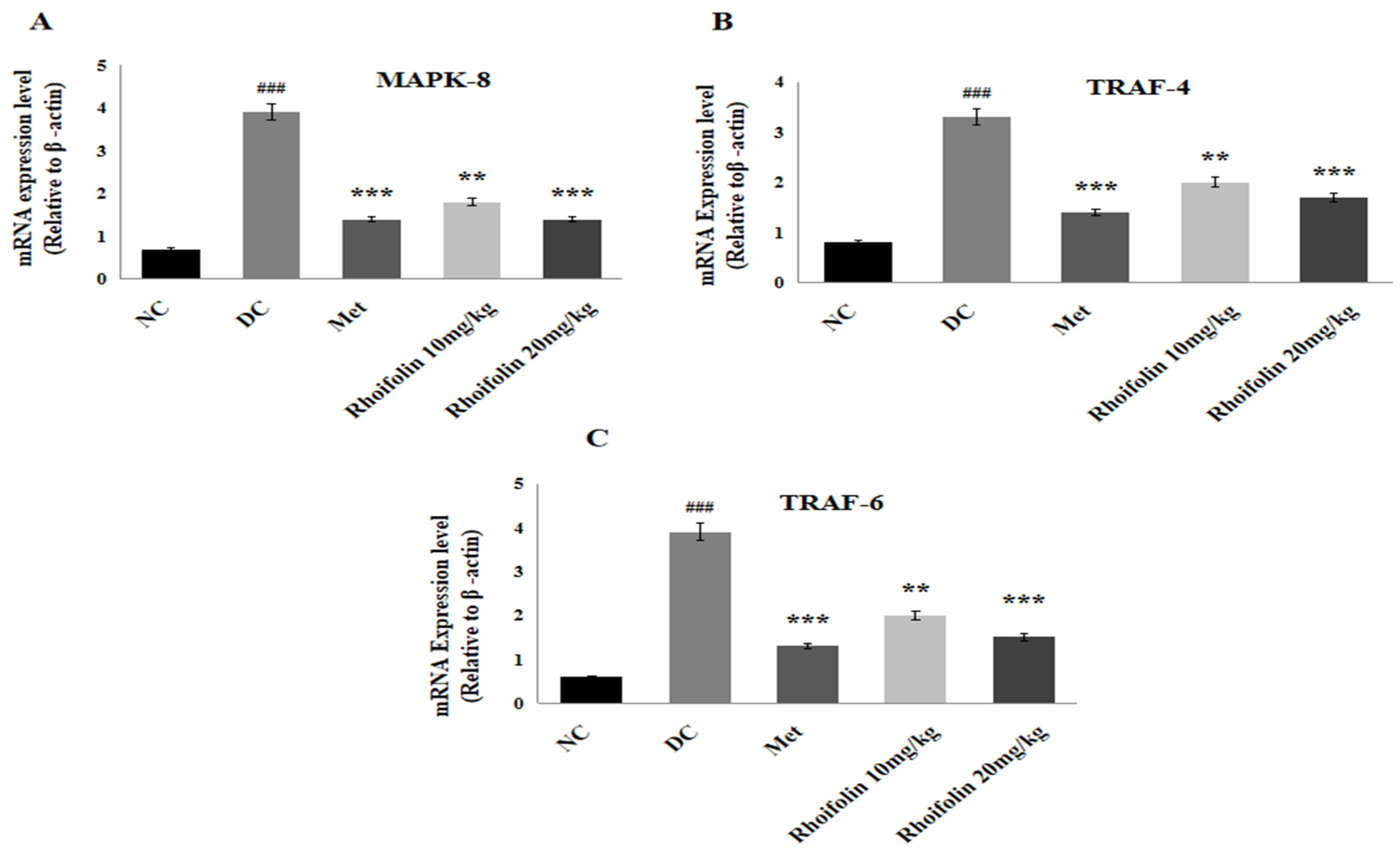 Pharmaceuticals 18 00361 g007