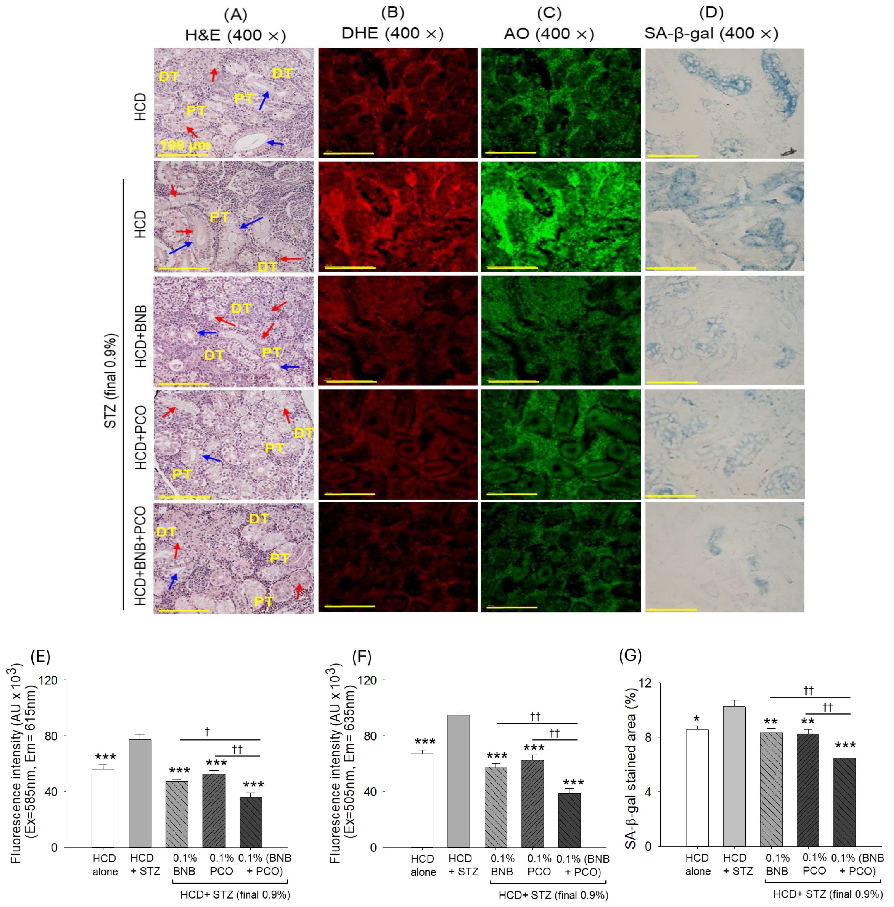 Pharmaceuticals 18 00362 g009