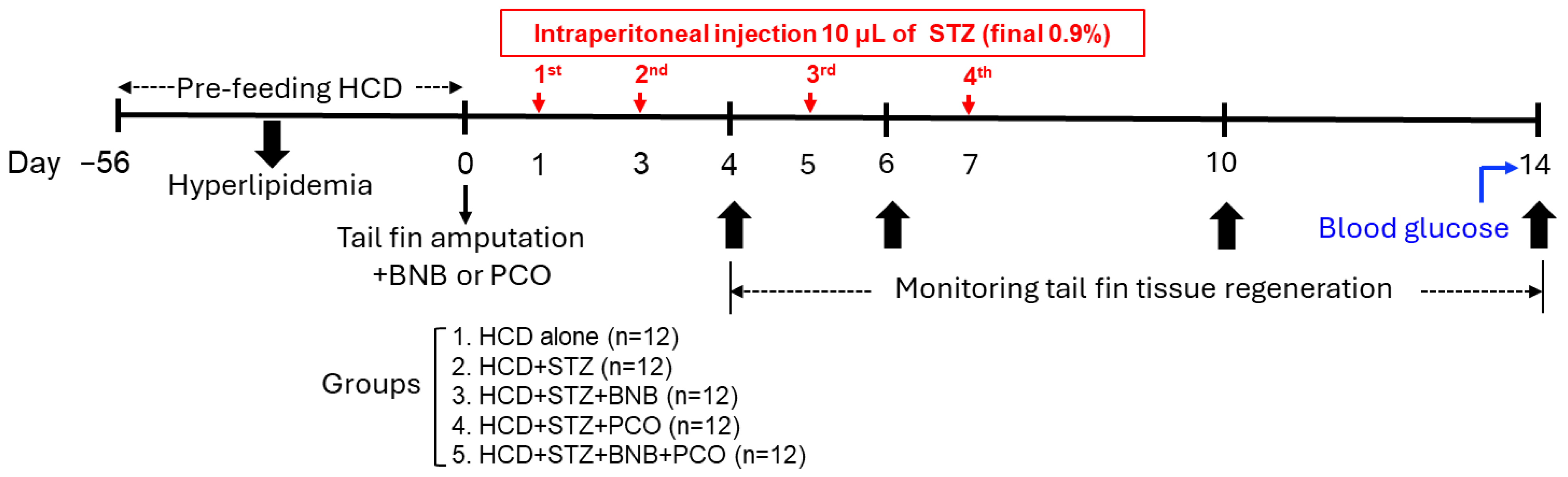 Pharmaceuticals 18 00362 g010