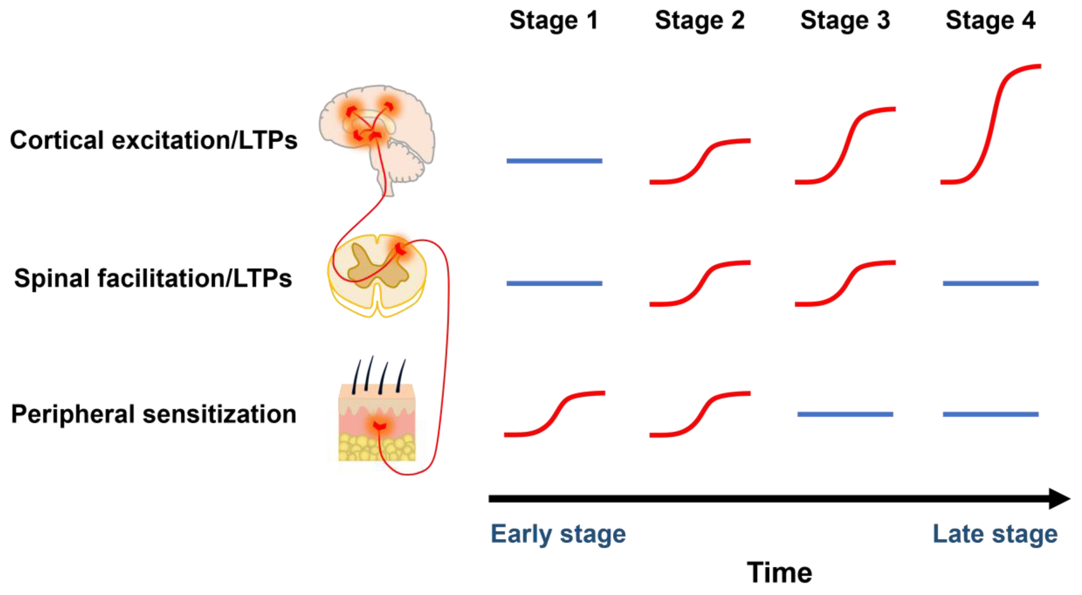 Pharmaceuticals 18 00363 g001 Pharmaceuticals 18 00363 g001
