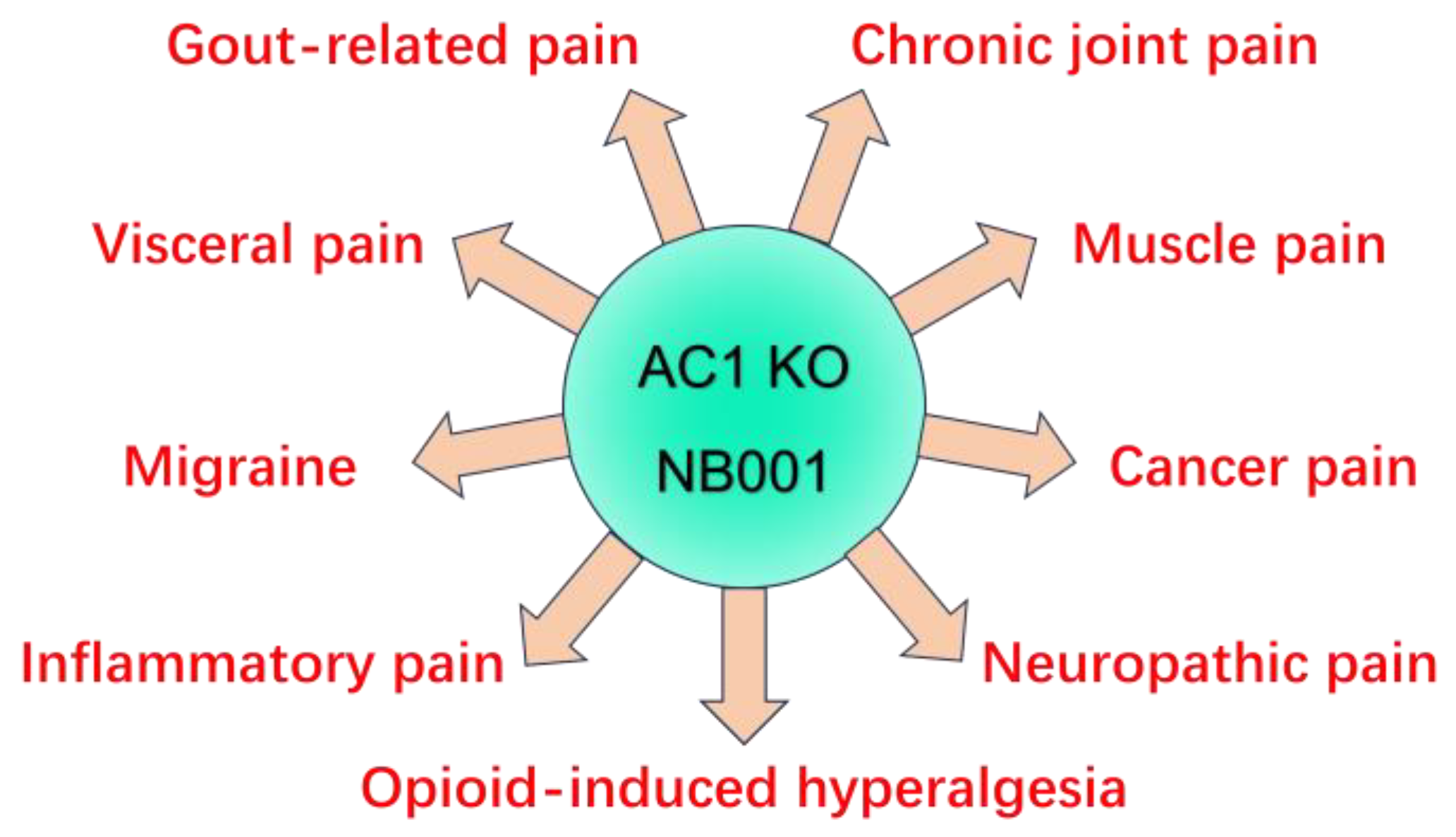 Pharmaceuticals 18 00363 g003 Pharmaceuticals 18 00363 g003