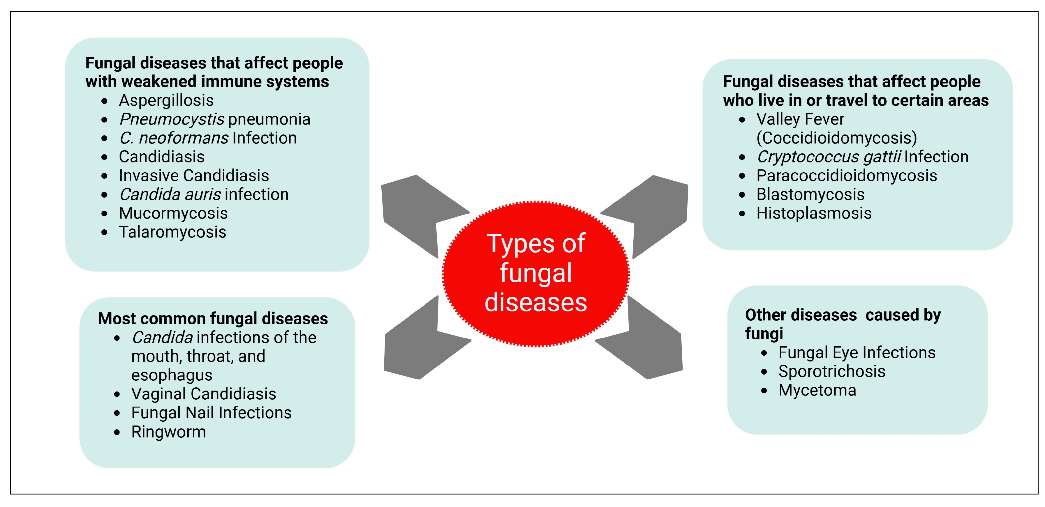 Pharmaceuticals 18 00364 g001 Pharmaceuticals 18 00364 g001