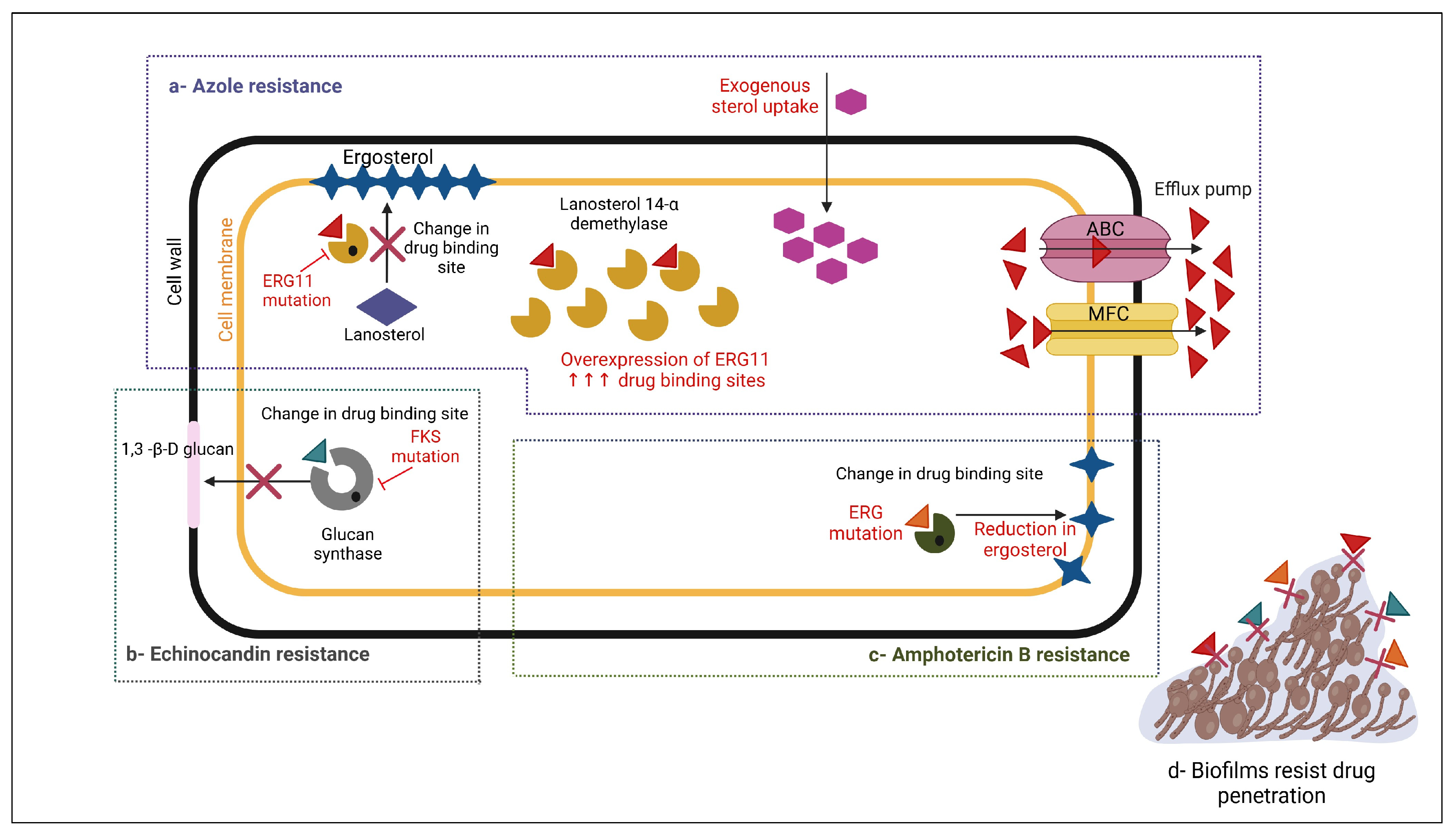 Pharmaceuticals 18 00364 g003 Pharmaceuticals 18 00364 g003