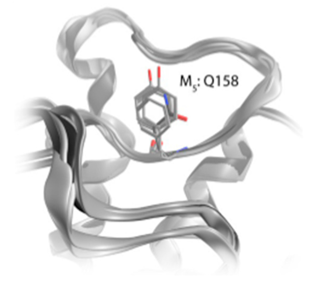 Pharmaceuticals 18 00369 g004