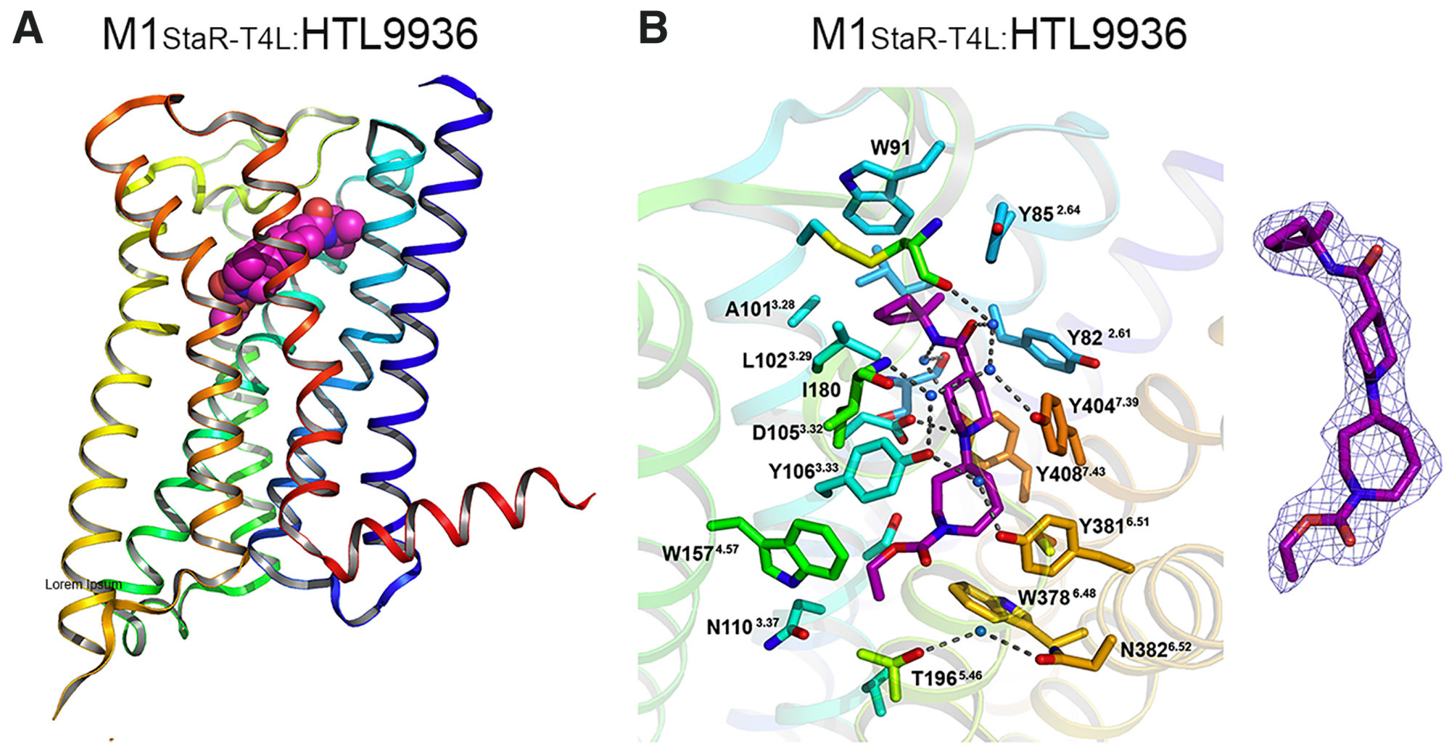 Pharmaceuticals 18 00369 g008