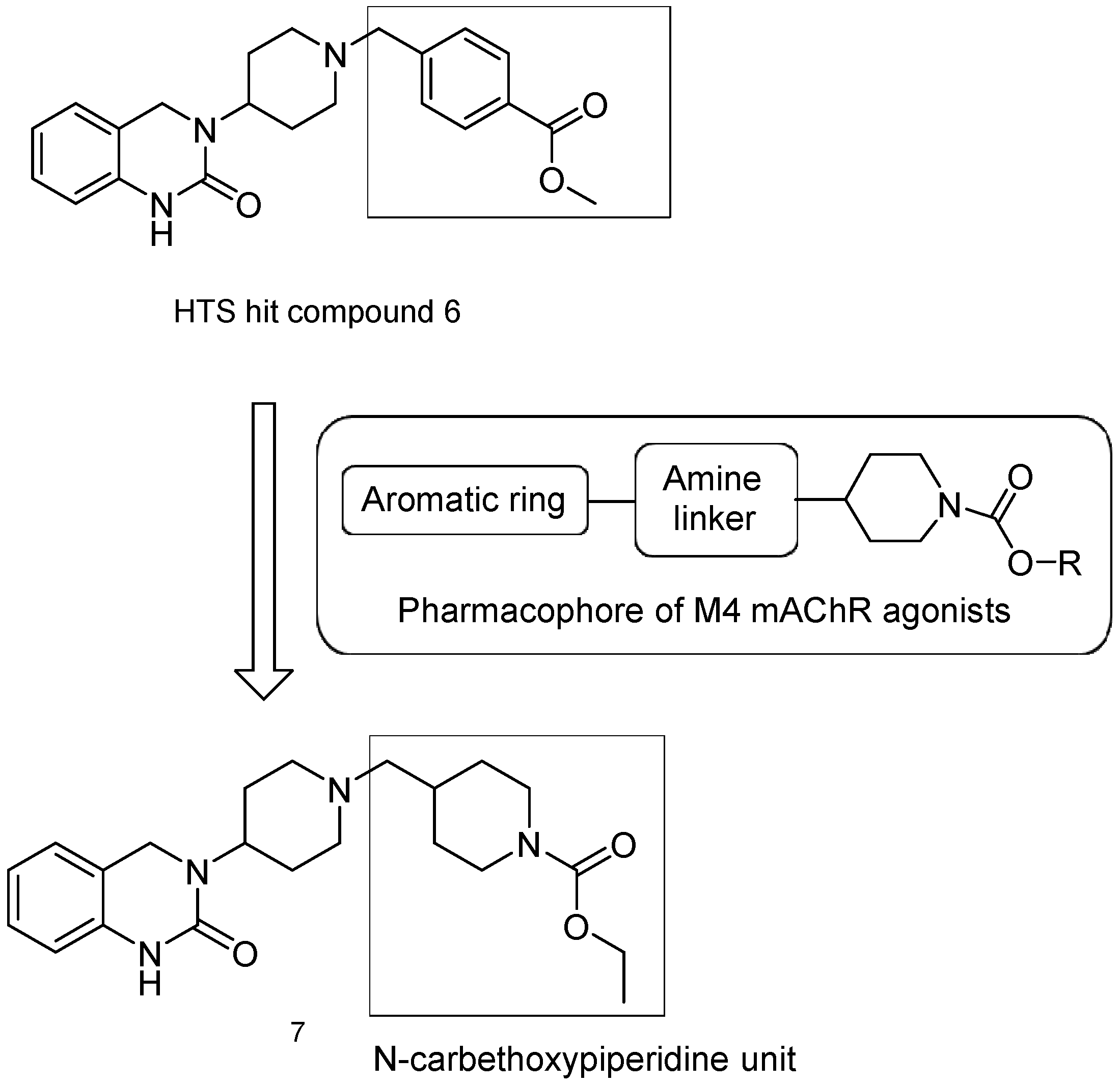 Pharmaceuticals 18 00369 g012