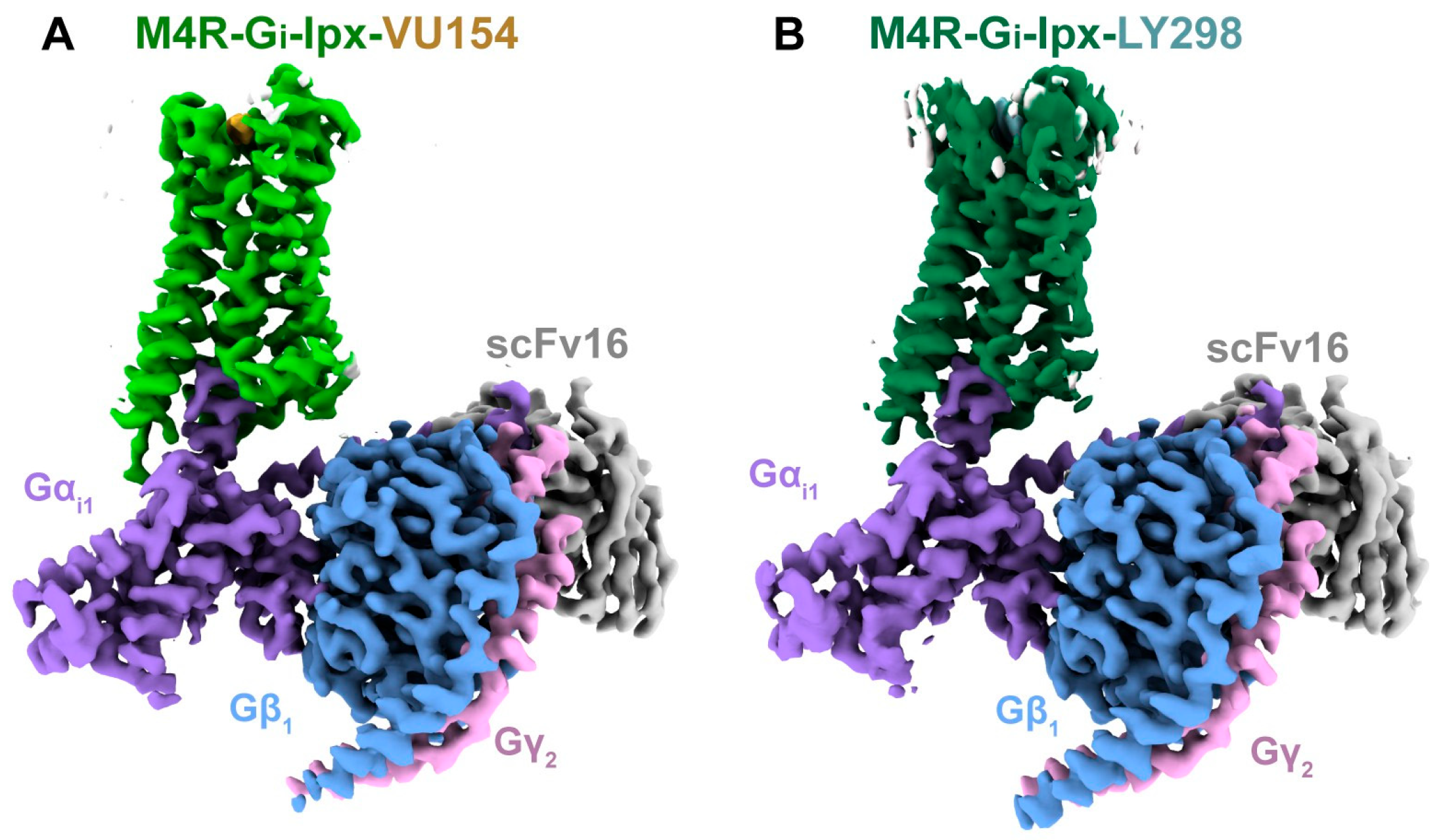 Pharmaceuticals 18 00369 g013