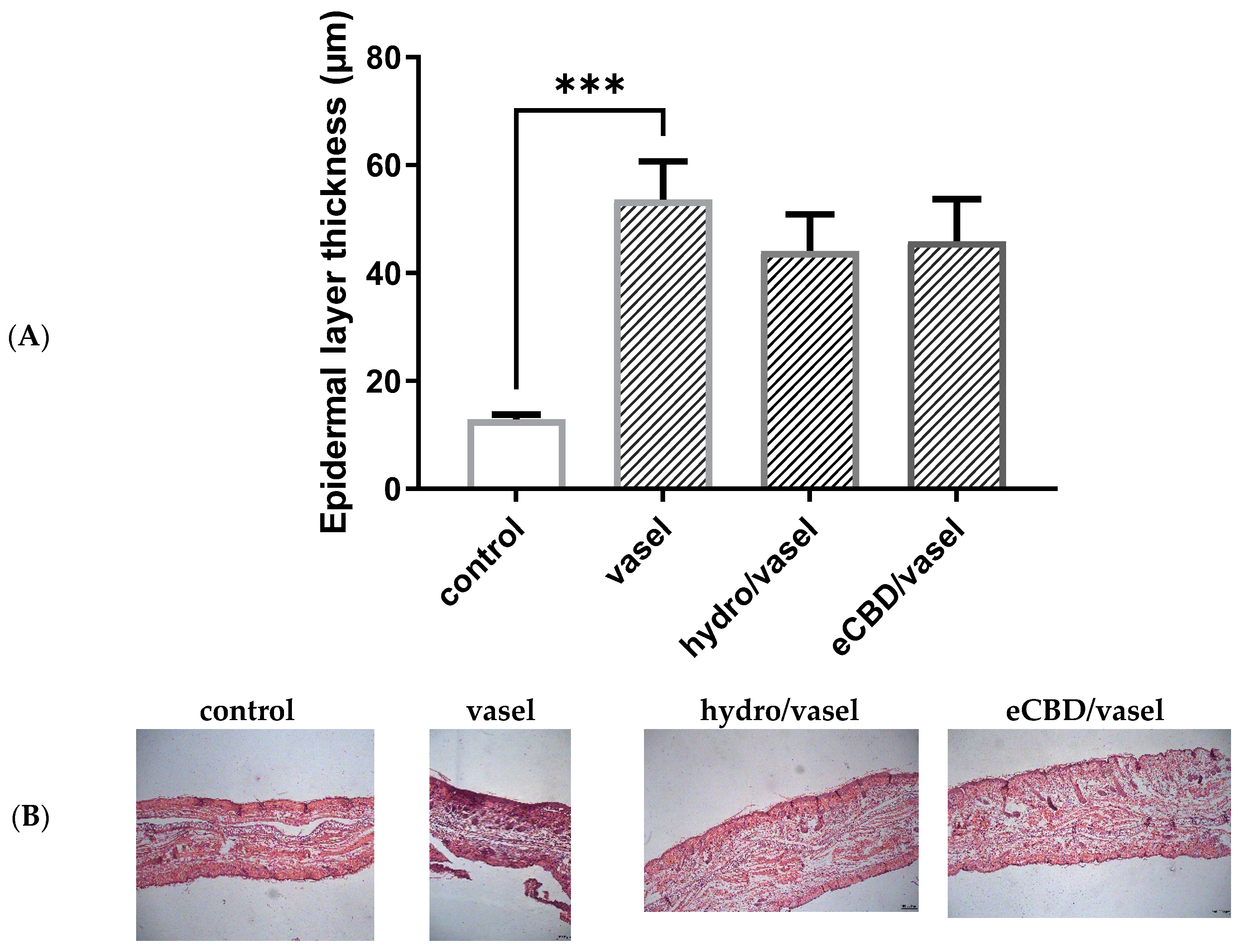 Pharmaceuticals 18 00370 g005