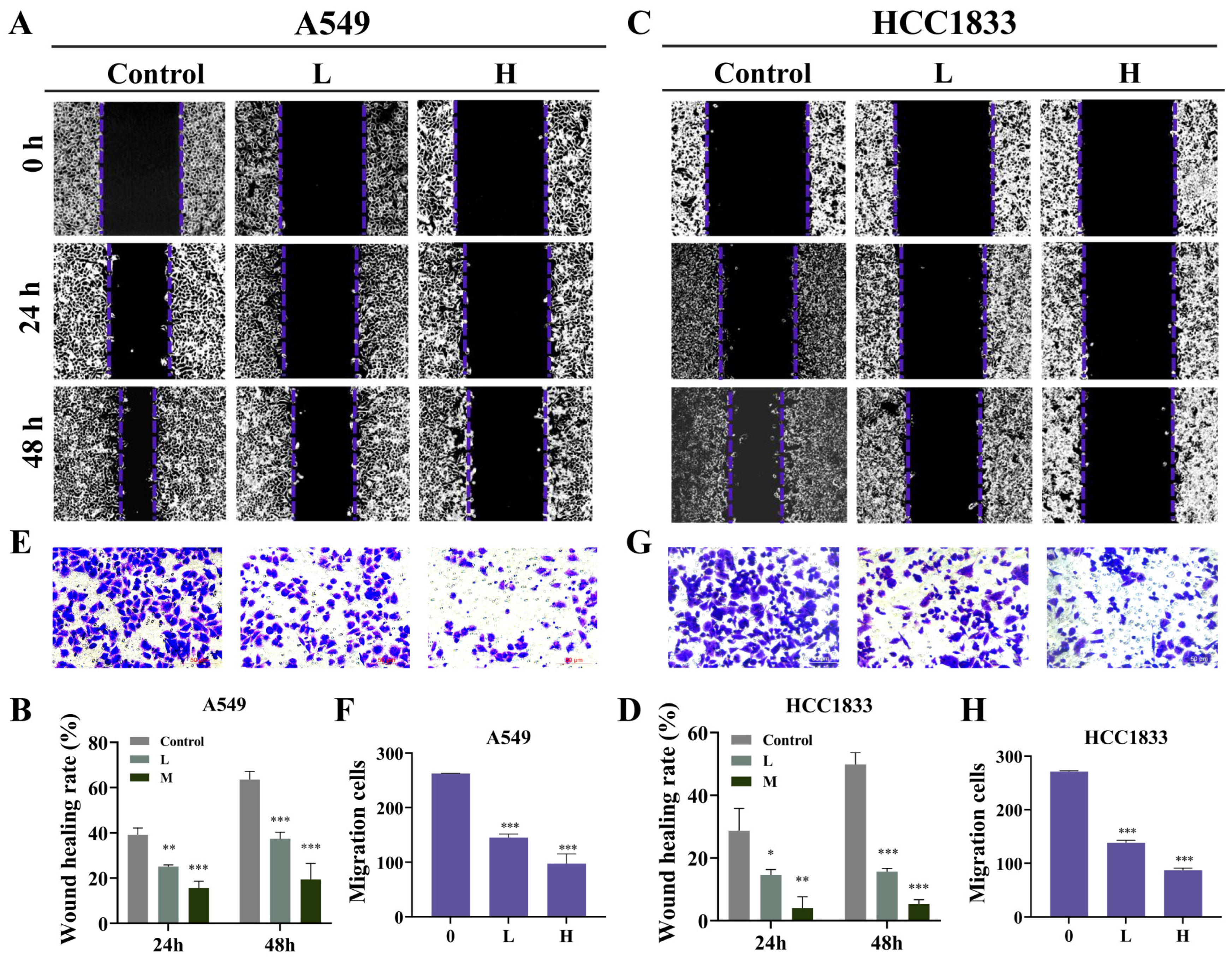 Pharmaceuticals 18 00374 g002