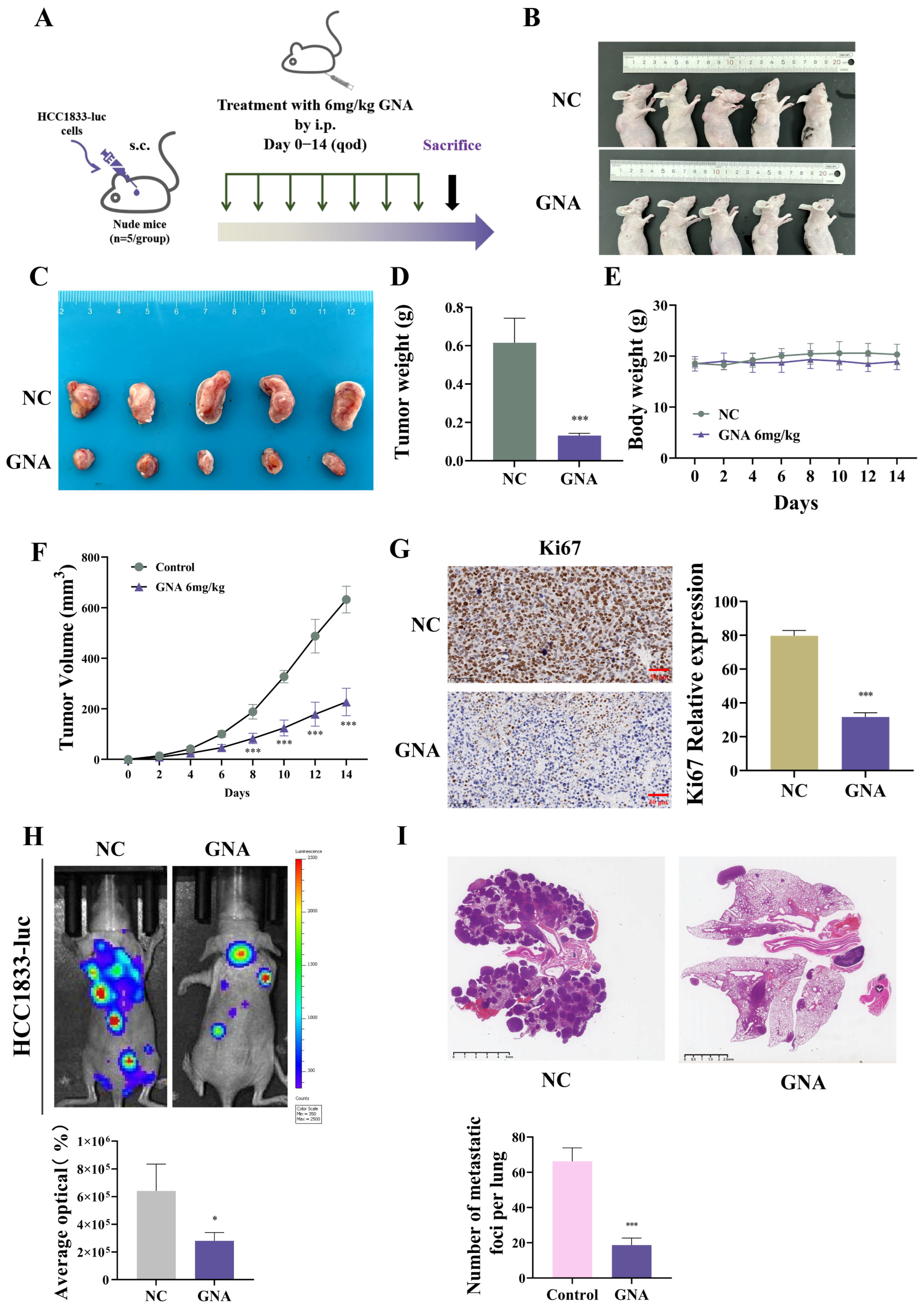 Pharmaceuticals 18 00374 g004