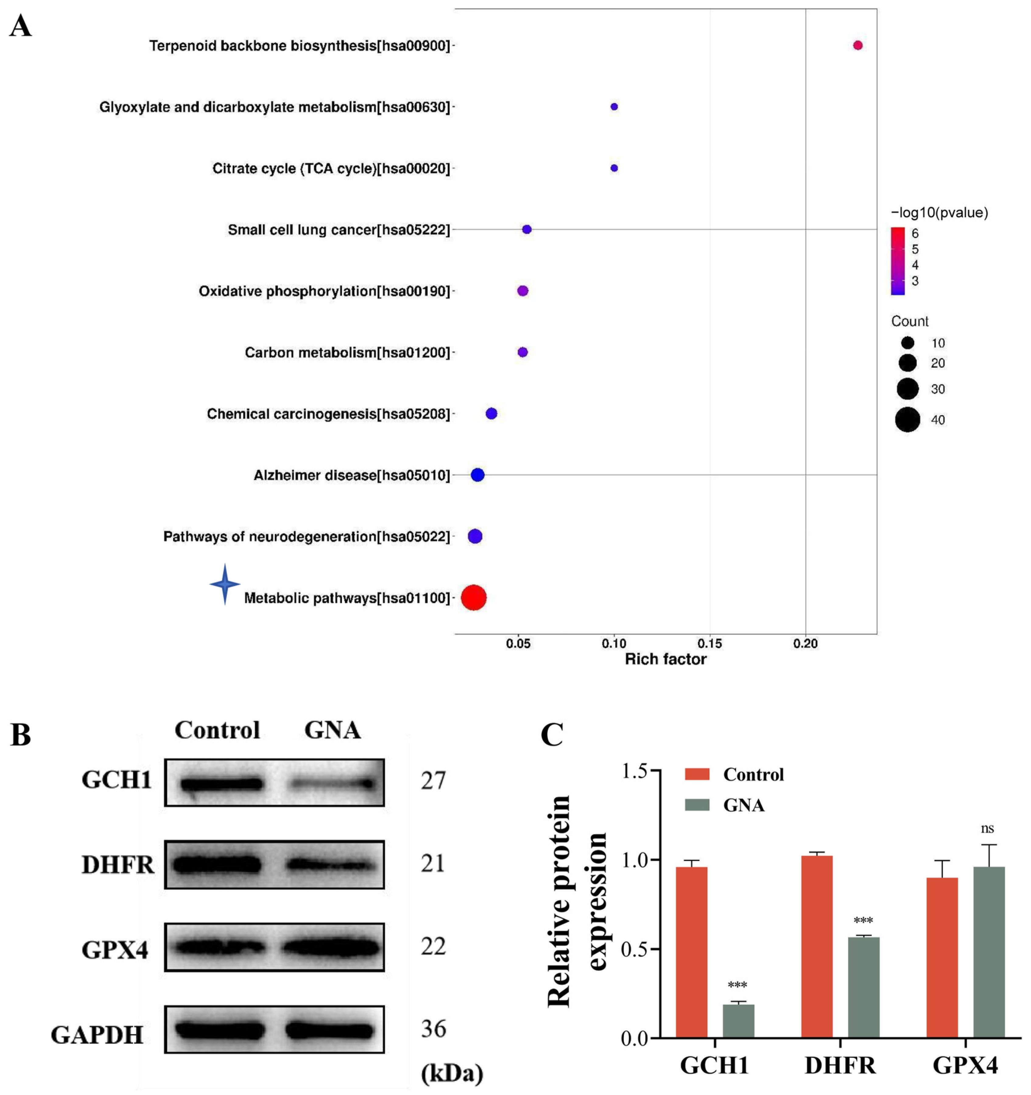 Pharmaceuticals 18 00374 g005