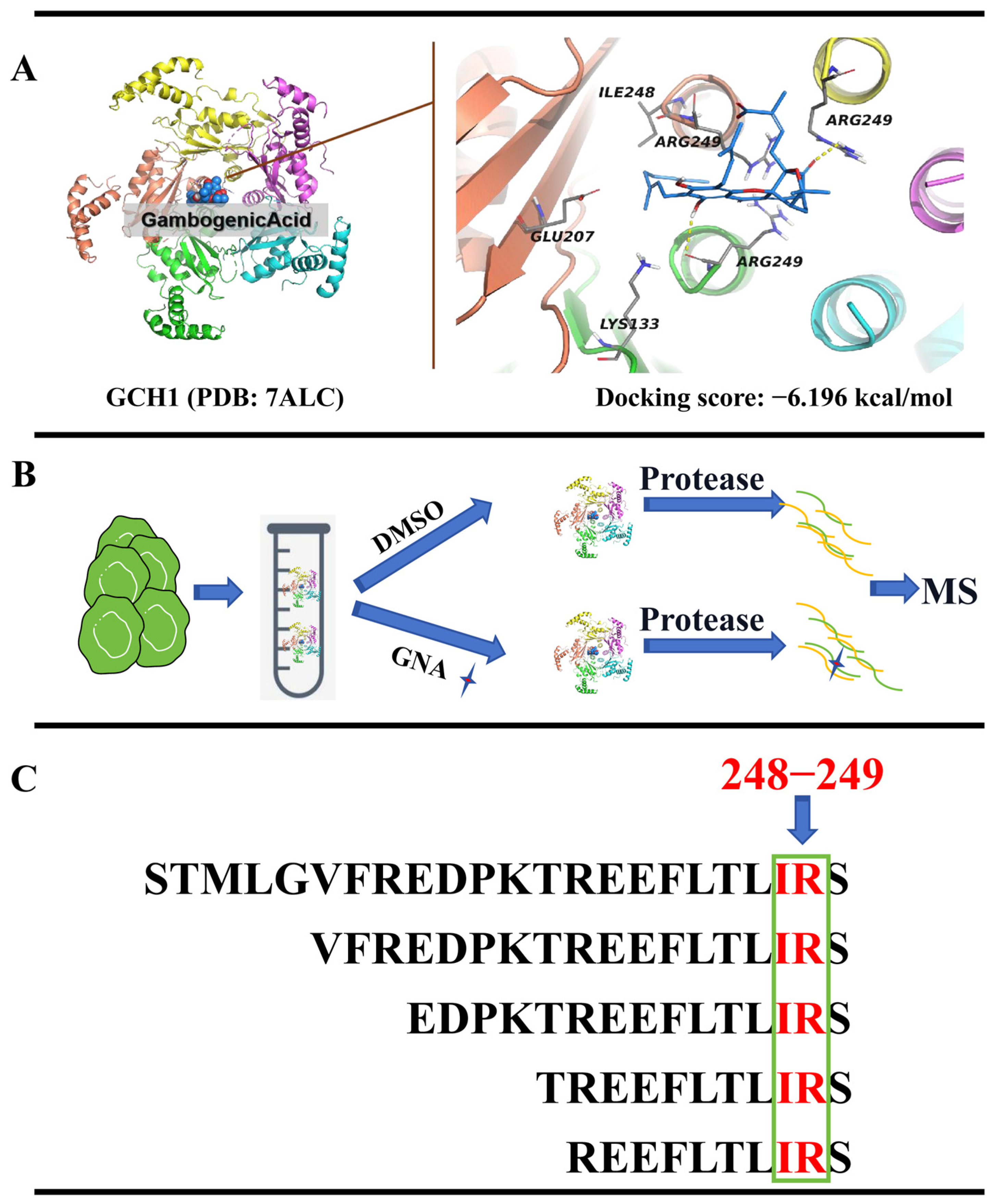 Pharmaceuticals 18 00374 g006