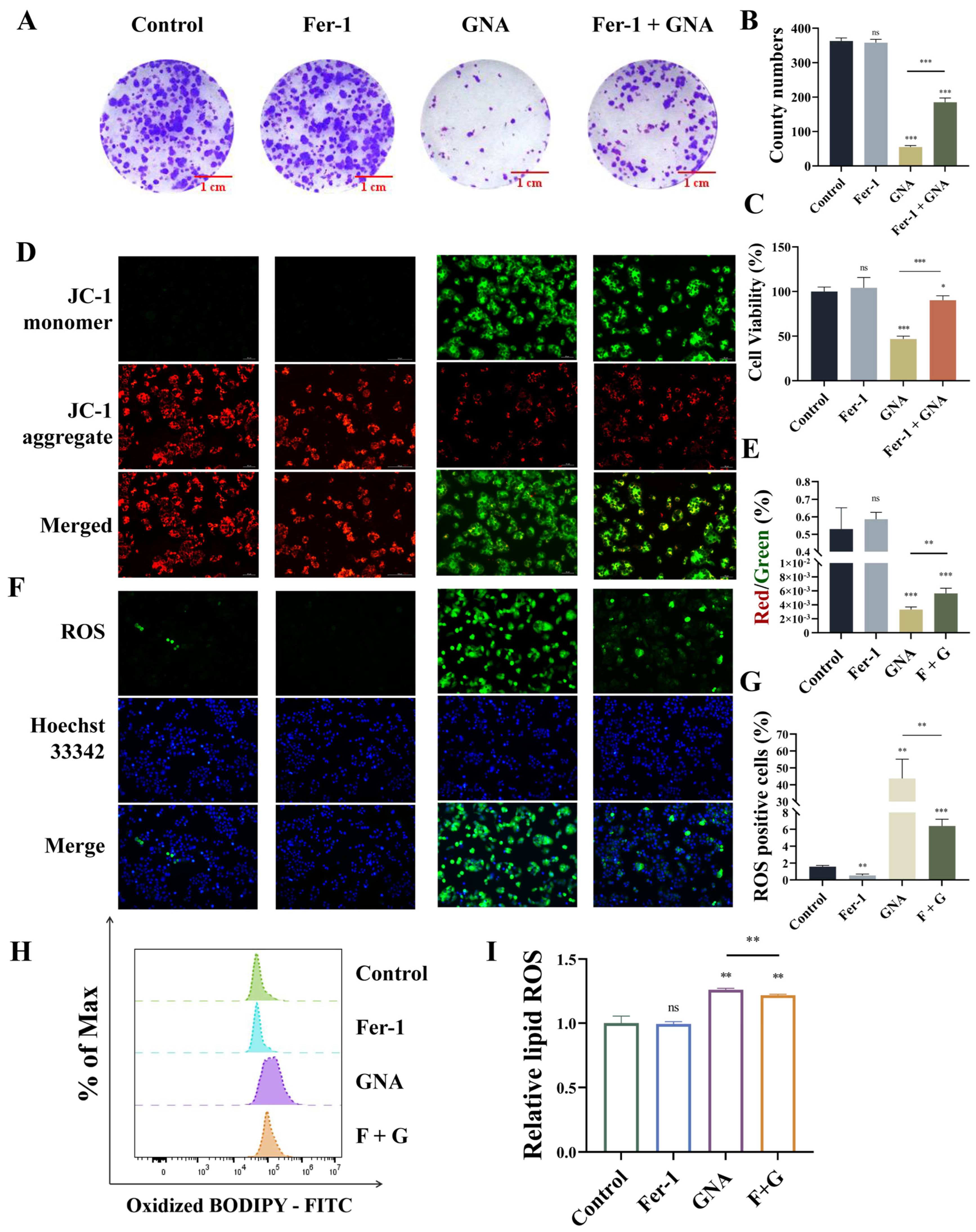 Pharmaceuticals 18 00374 g007