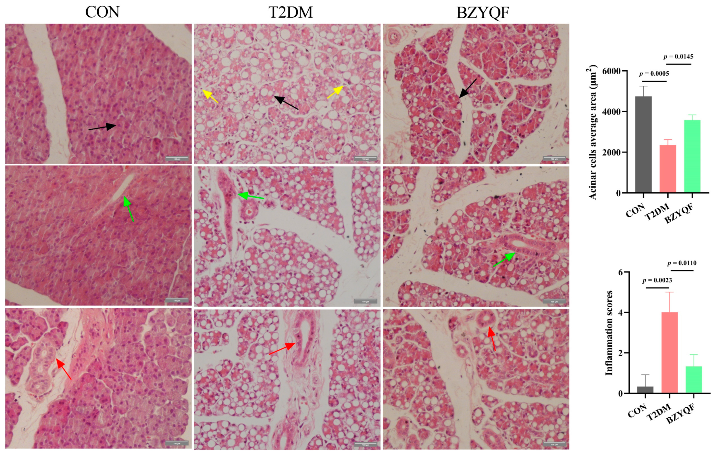 Pharmaceuticals 18 00377 g005