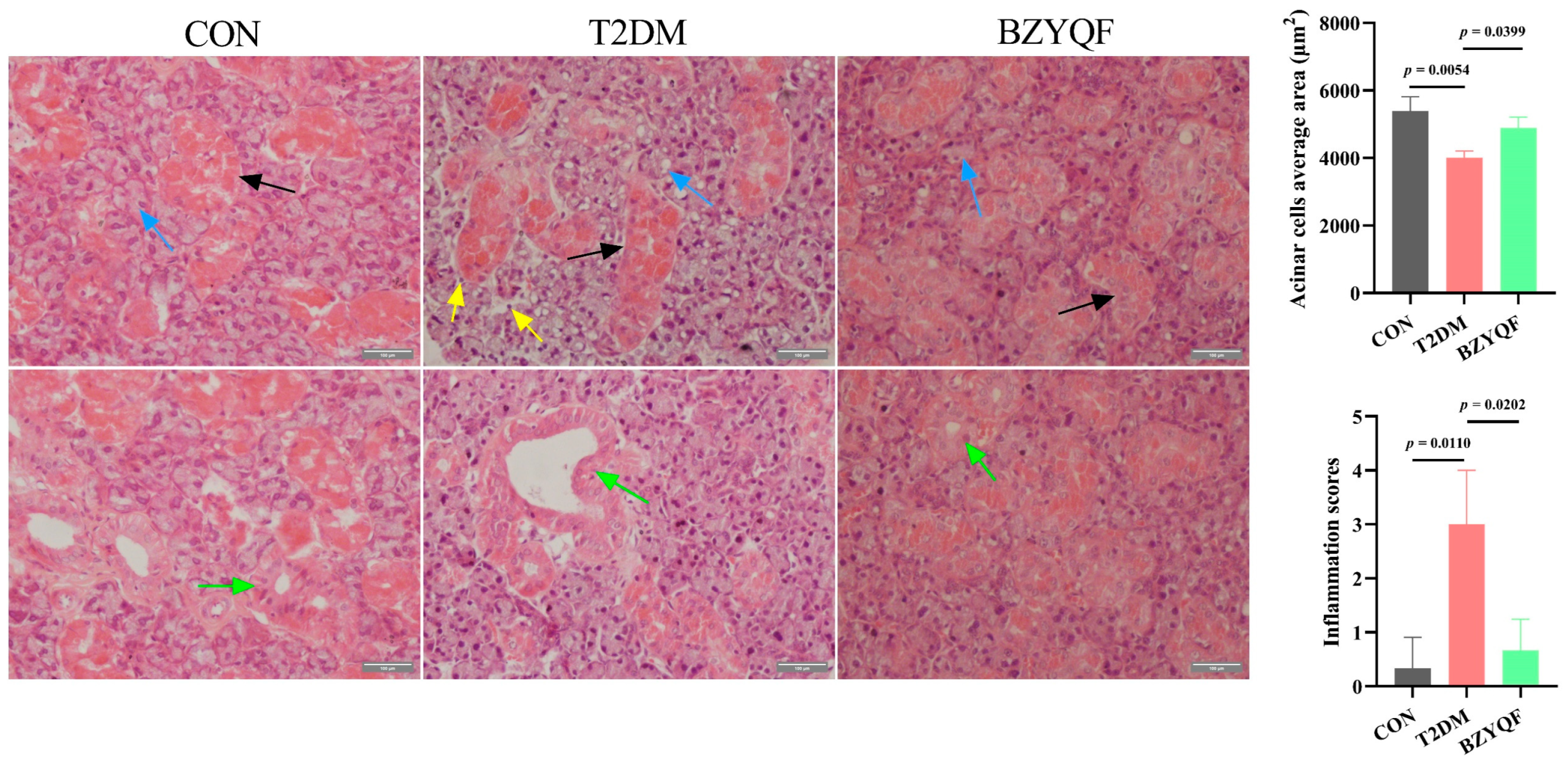 Pharmaceuticals 18 00377 g006