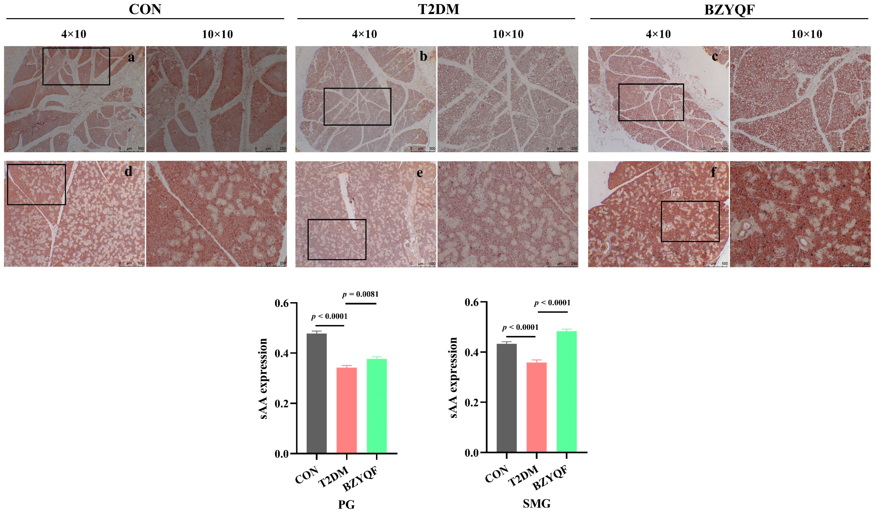 Pharmaceuticals 18 00377 g007