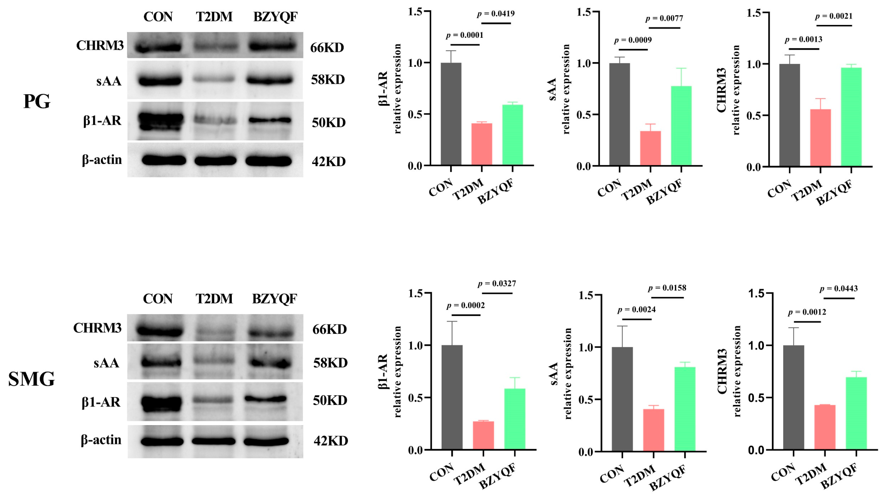 Pharmaceuticals 18 00377 g010