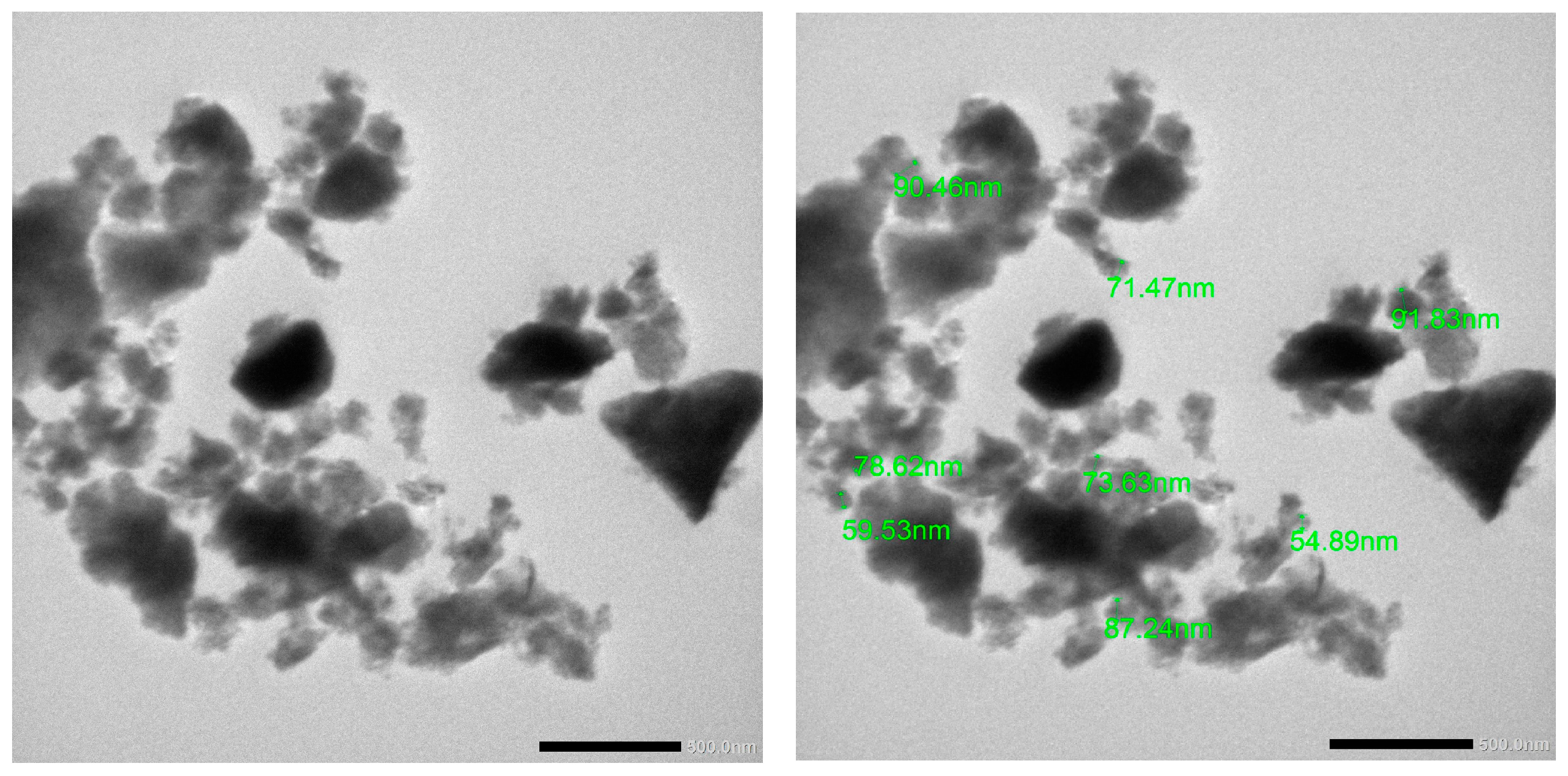 Pharmaceuticals 18 00381 g003