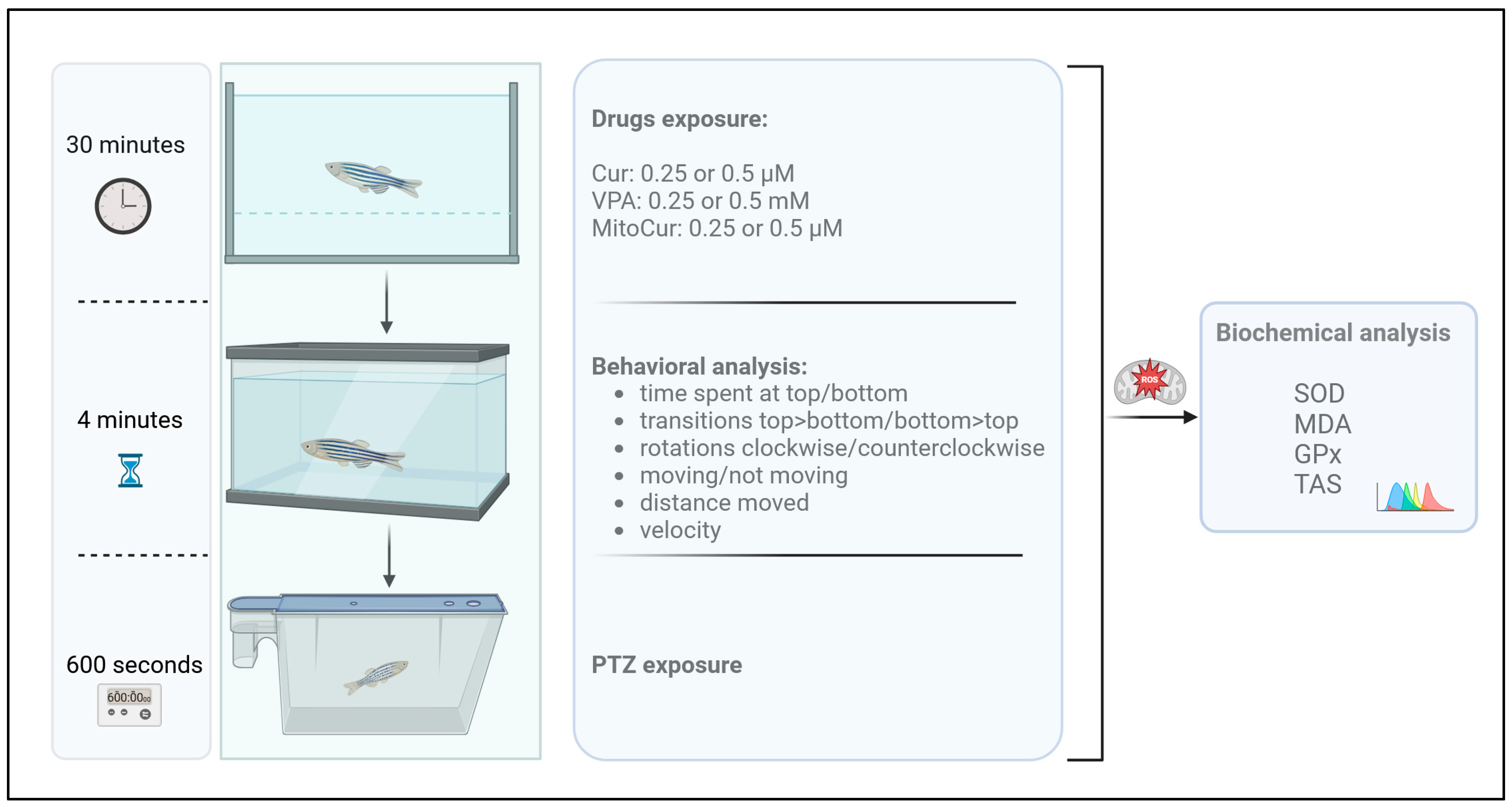 Pharmaceuticals 18 00382 g007