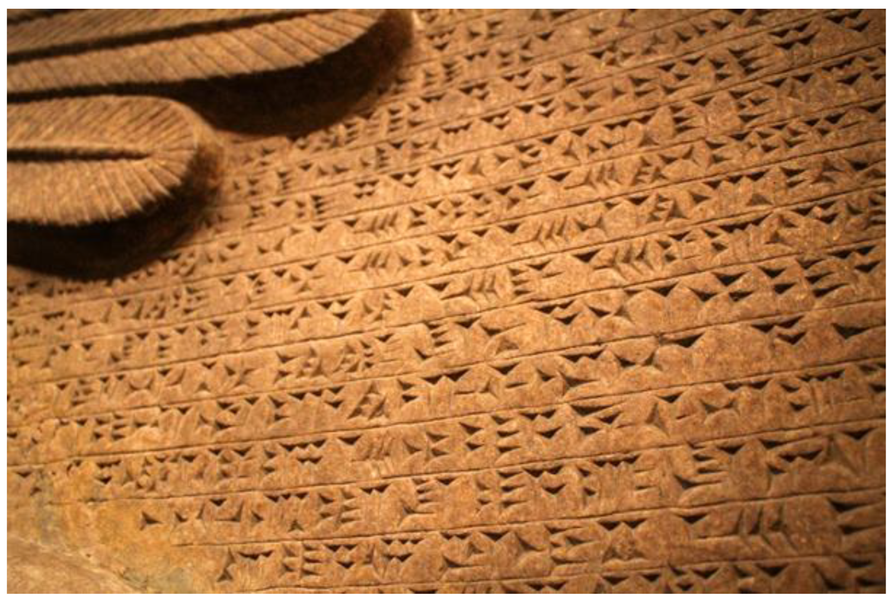 Pharmaceuticals 18 00386 g001