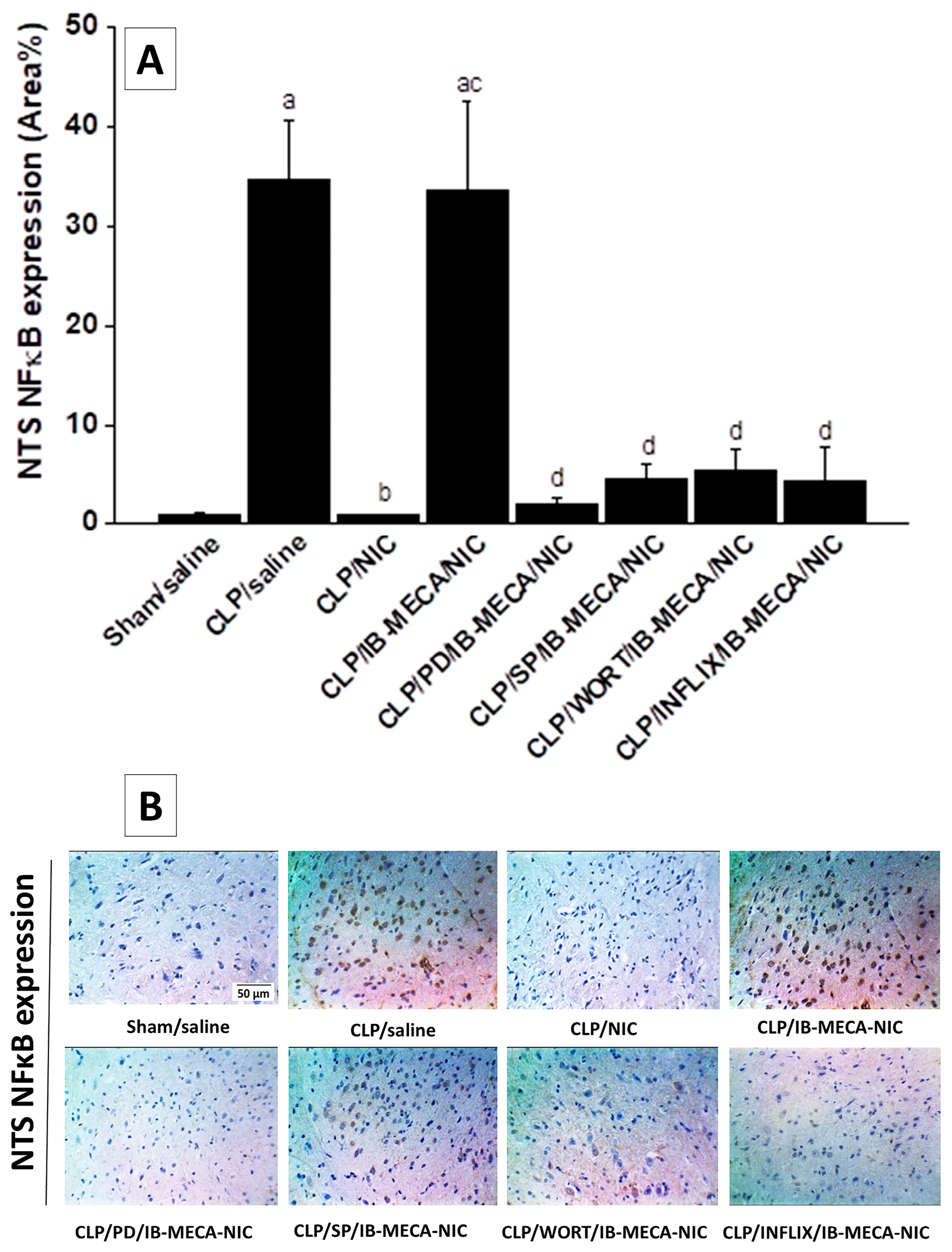 Pharmaceuticals 18 00388 g005 Pharmaceuticals 18 00388 g005