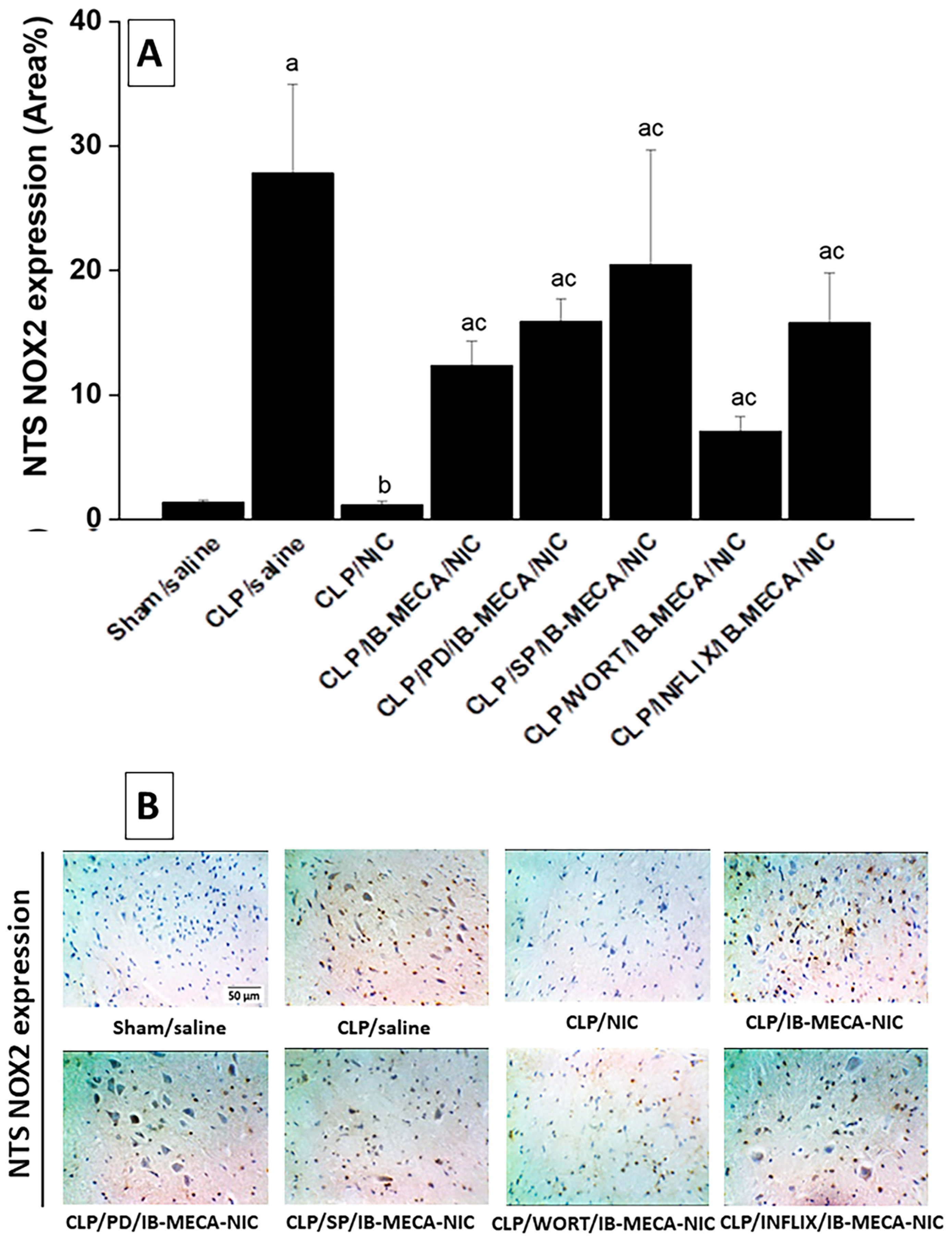 Pharmaceuticals 18 00388 g006 Pharmaceuticals 18 00388 g006