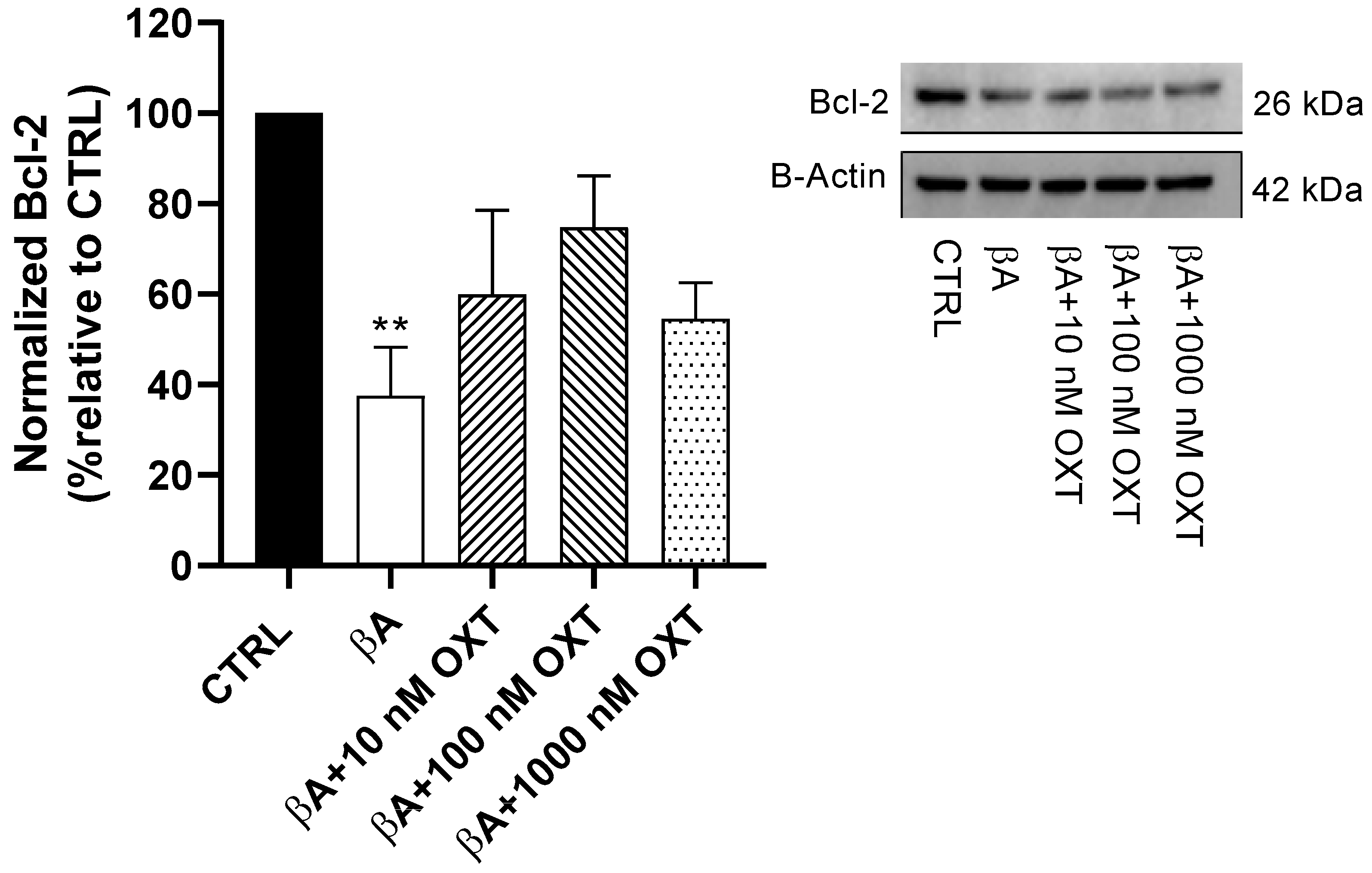 Pharmaceuticals 18 00390 g006