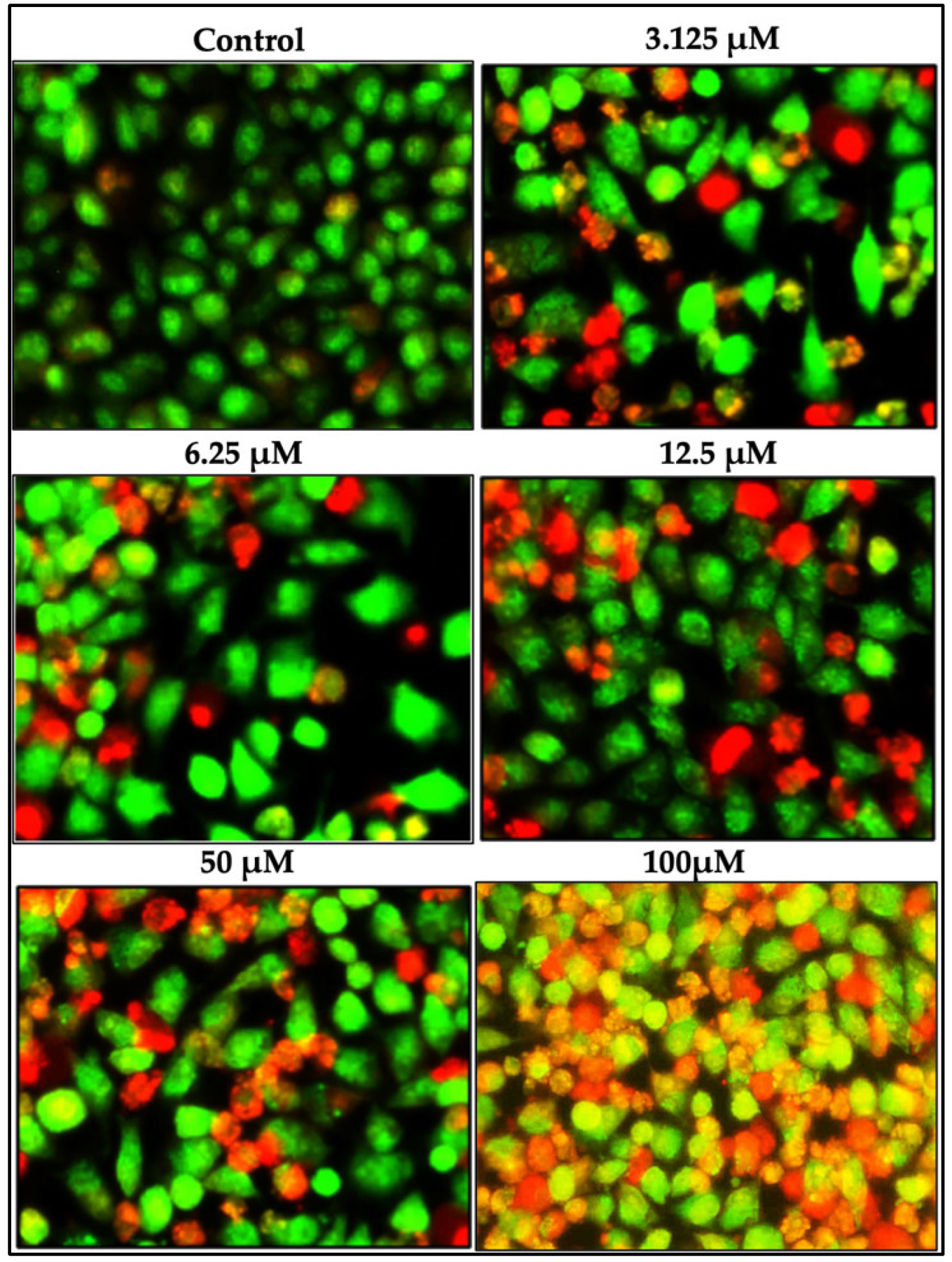 Pharmaceuticals 18 00393 g002