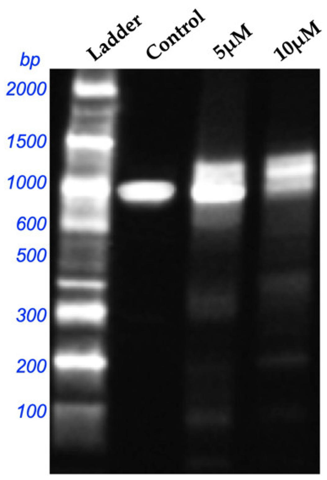 Pharmaceuticals 18 00393 g004