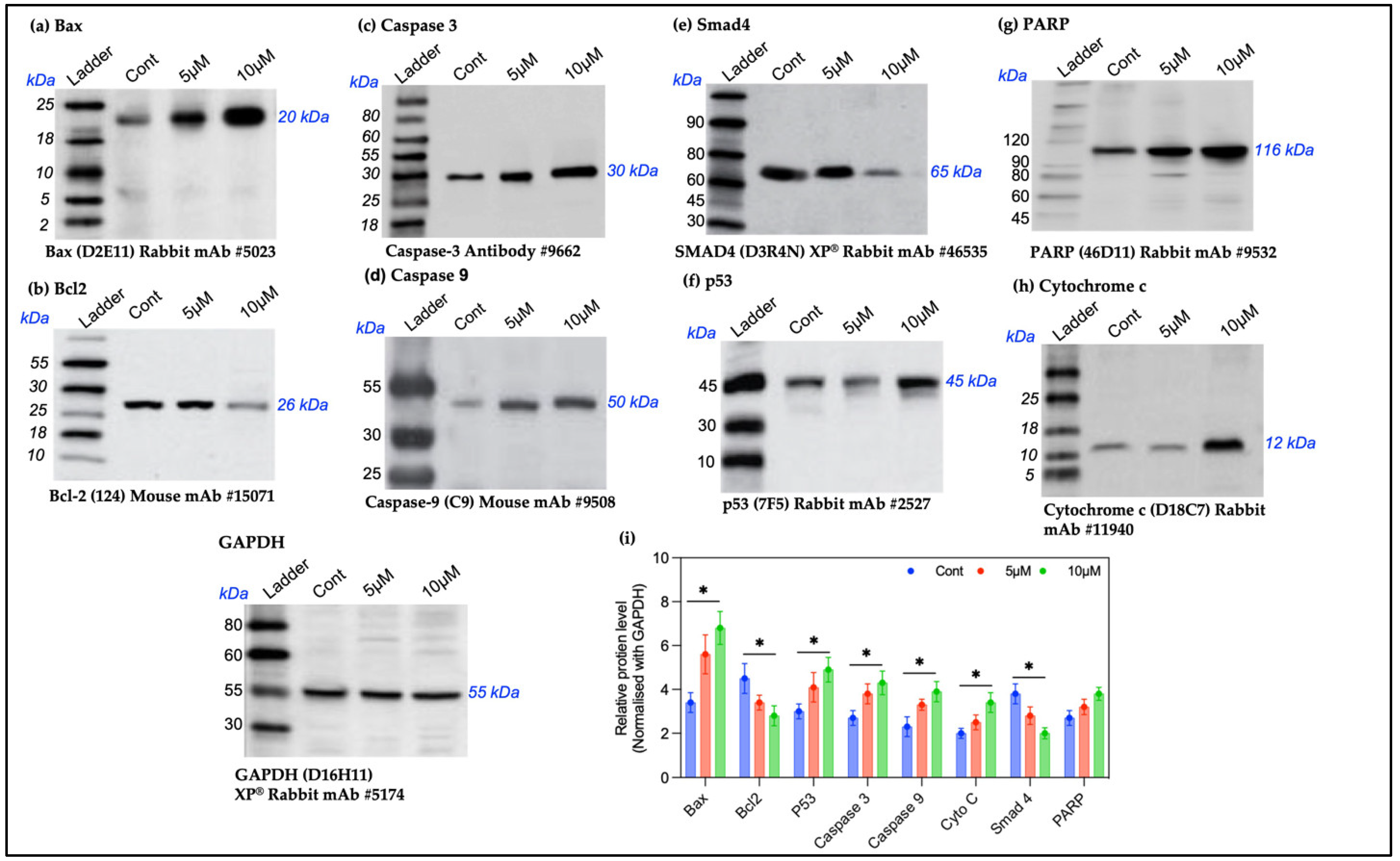Pharmaceuticals 18 00393 g006