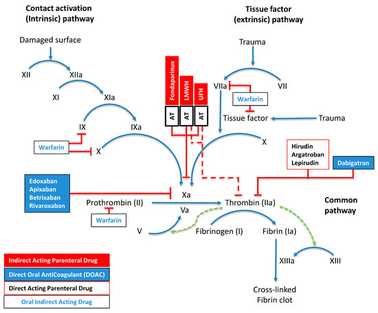 Expanding the Role of Heparin Derivatives in Oncology: From
