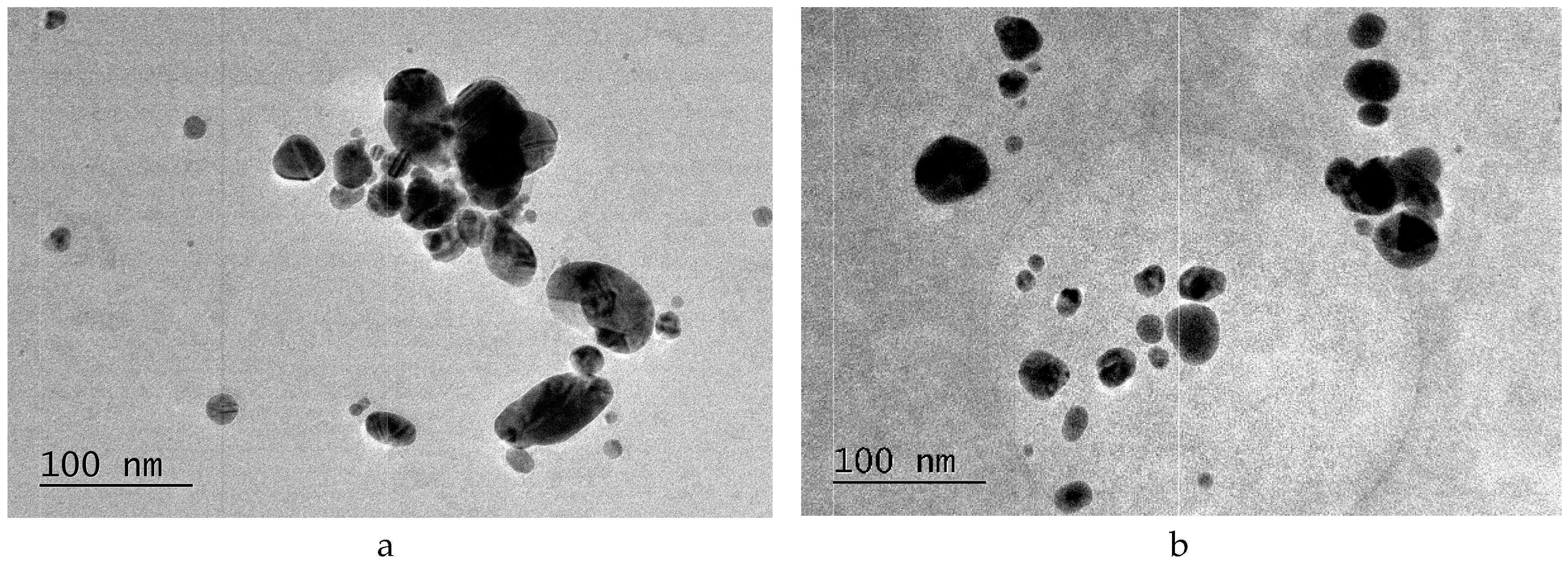 Pharmaceuticals 18 00397 g002