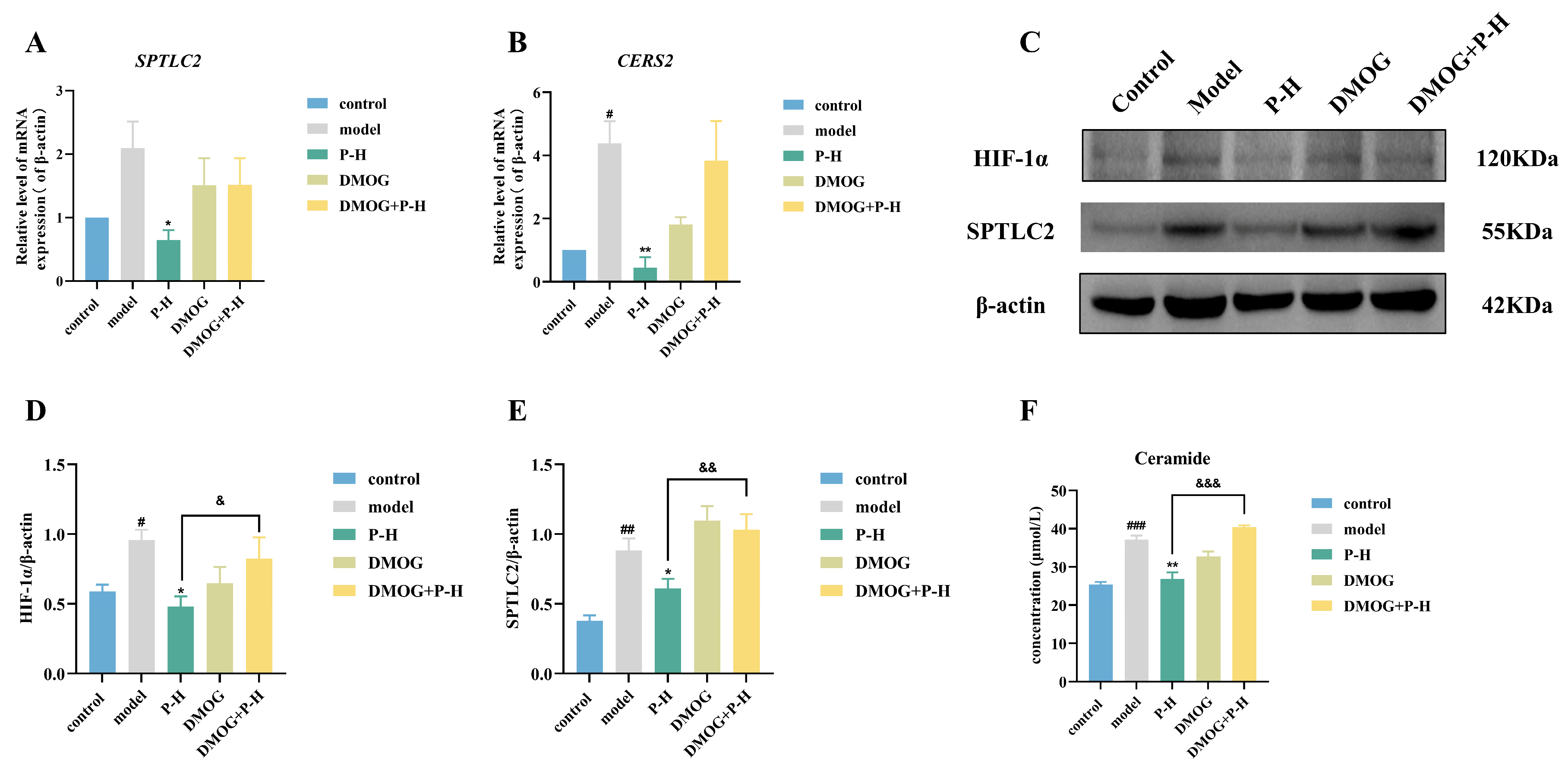 Pharmaceuticals 18 00398 g007