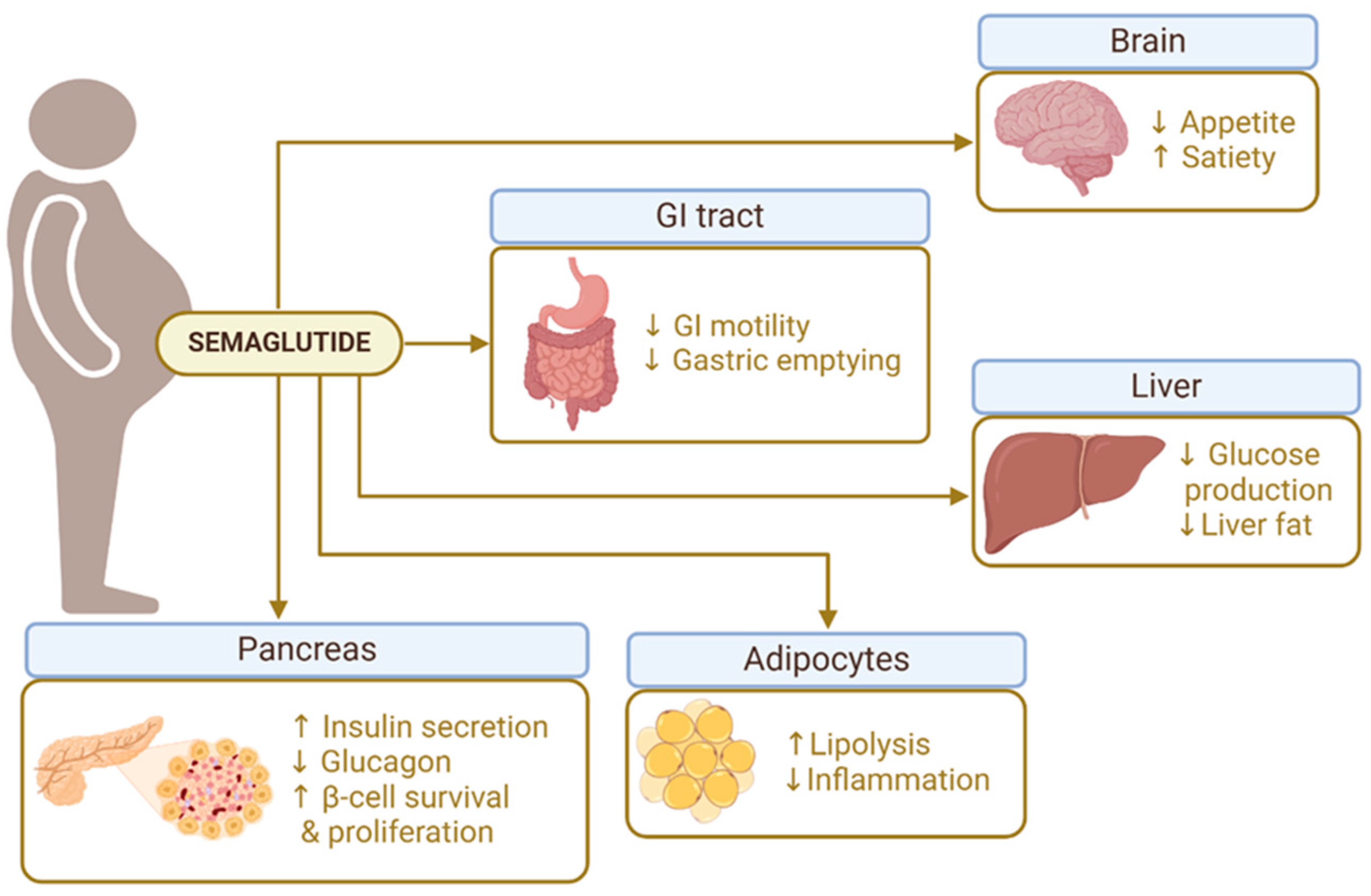 Pharmaceuticals 18 00399 g001