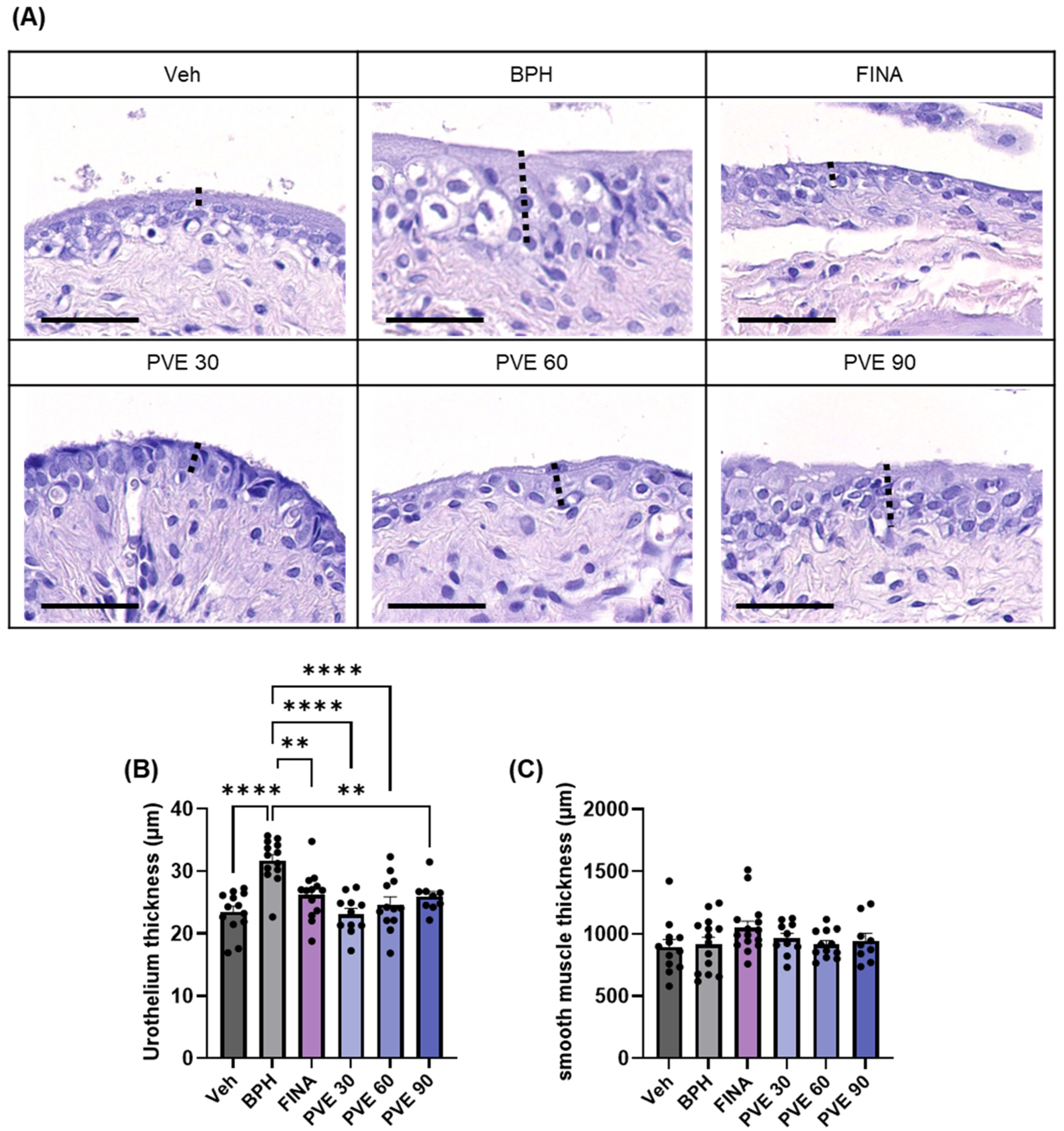 Pharmaceuticals 18 00400 g007 Pharmaceuticals 18 00400 g007