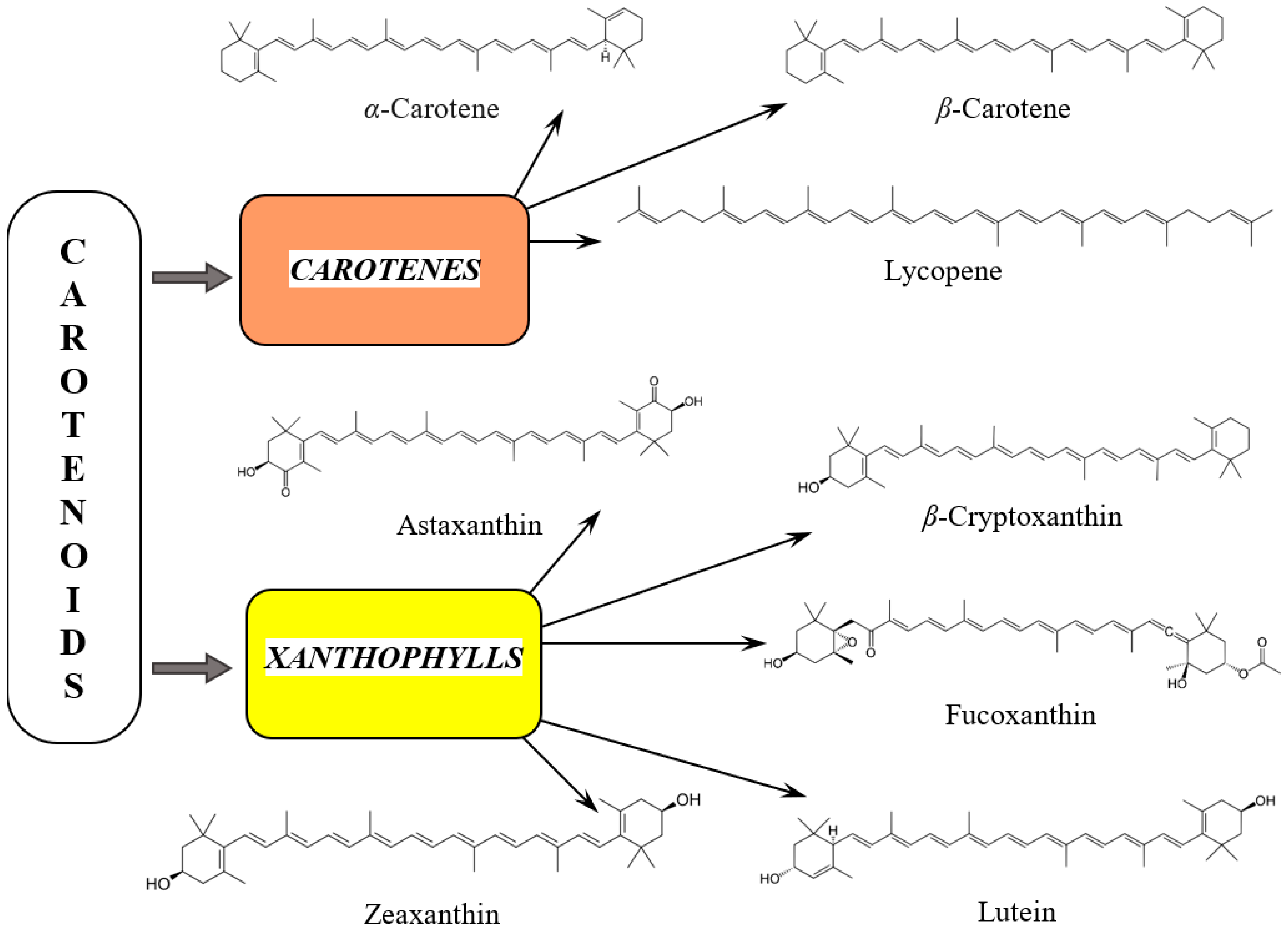Pharmaceuticals 18 00403 g001