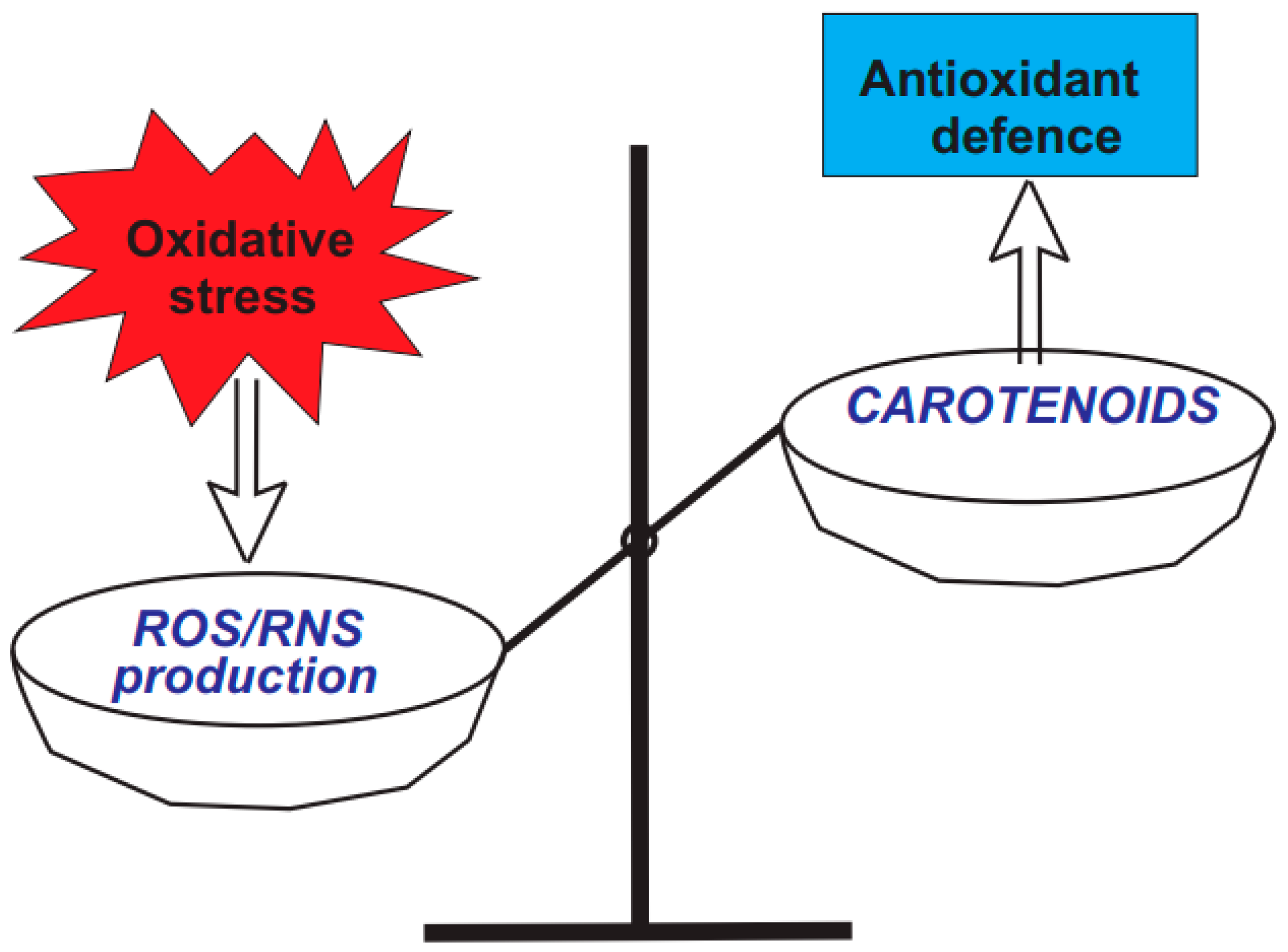 Pharmaceuticals 18 00403 g002