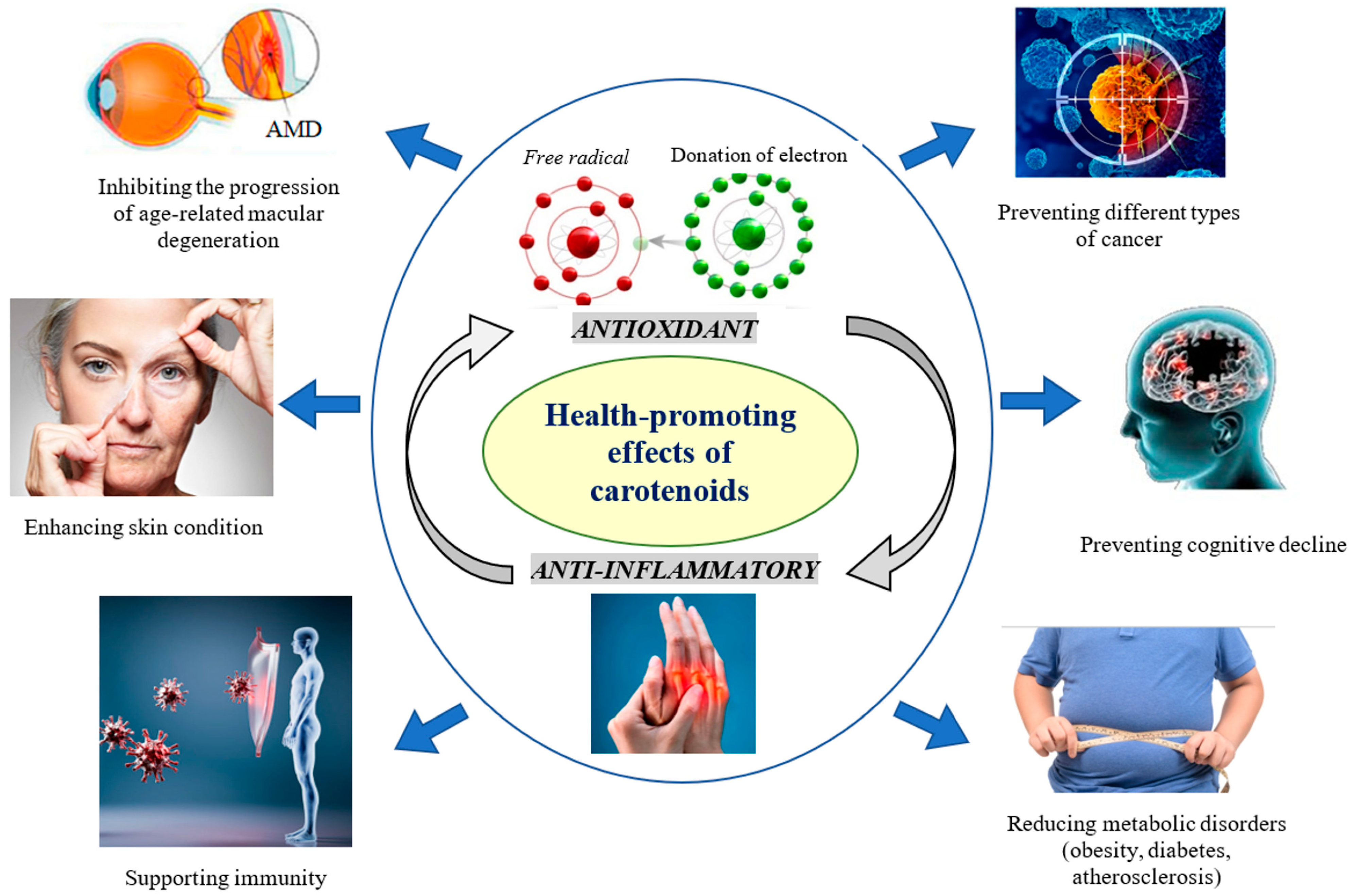 Pharmaceuticals 18 00403 g003