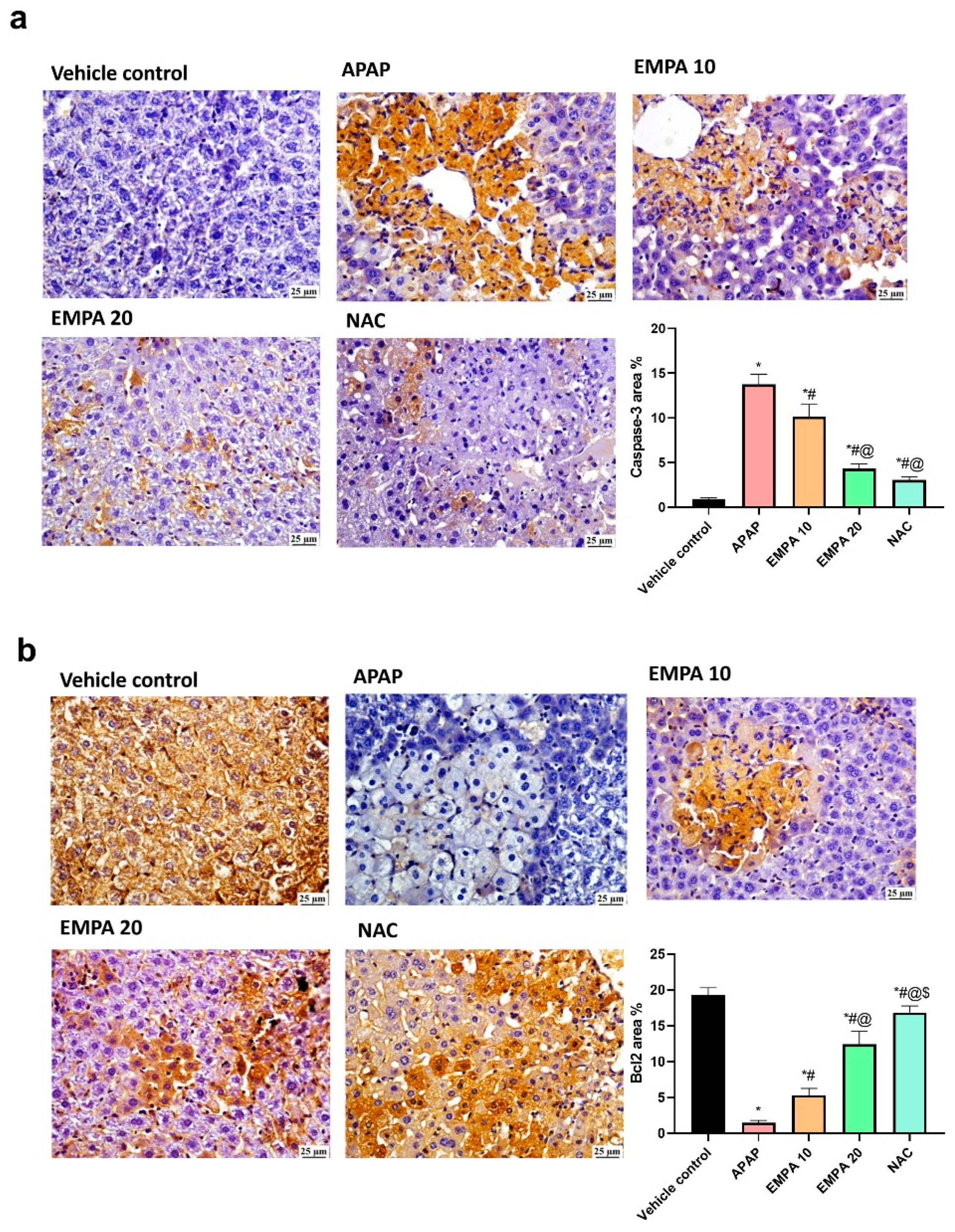 Pharmaceuticals 18 00405 g006